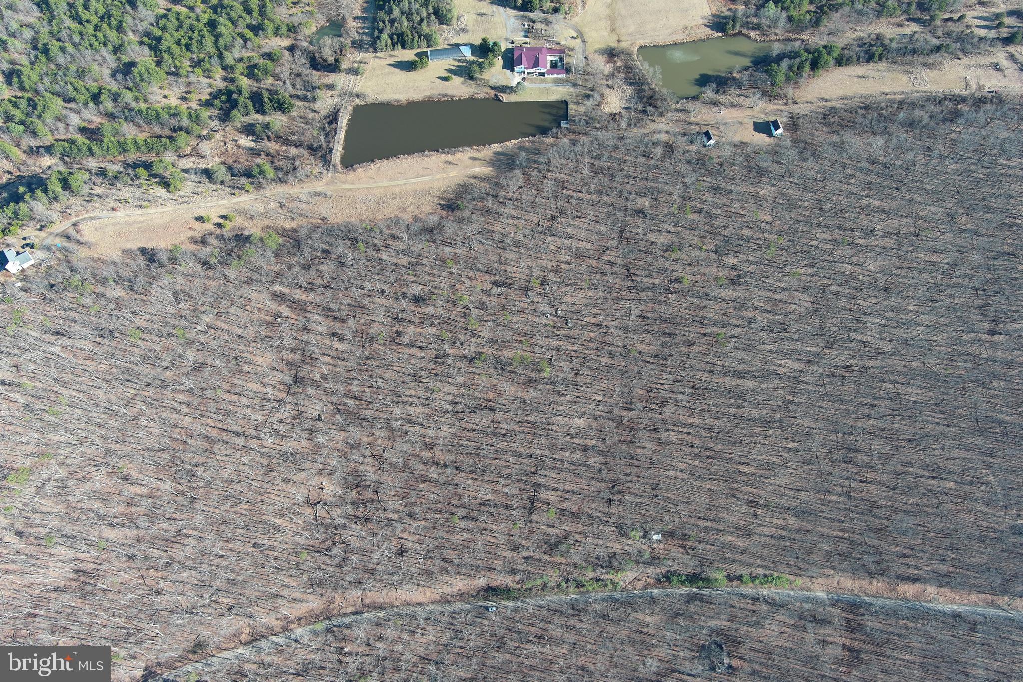 LAKE FERNDALE - Land