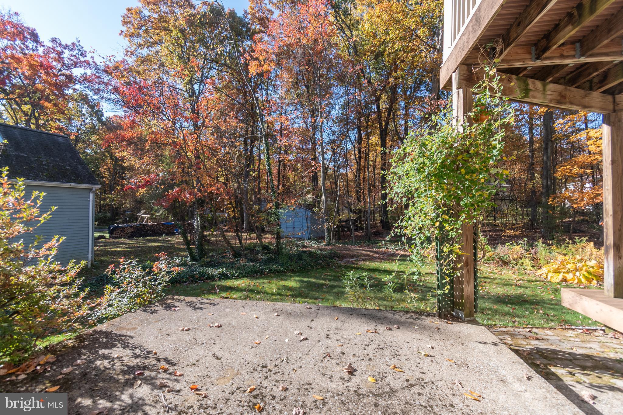 PARK FOREST VILLAGE - Residential