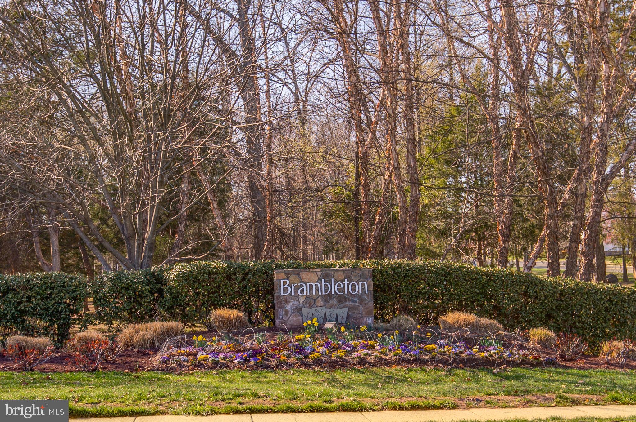 BRAMBLETON BRANDT PROPERTY - Residential Lease