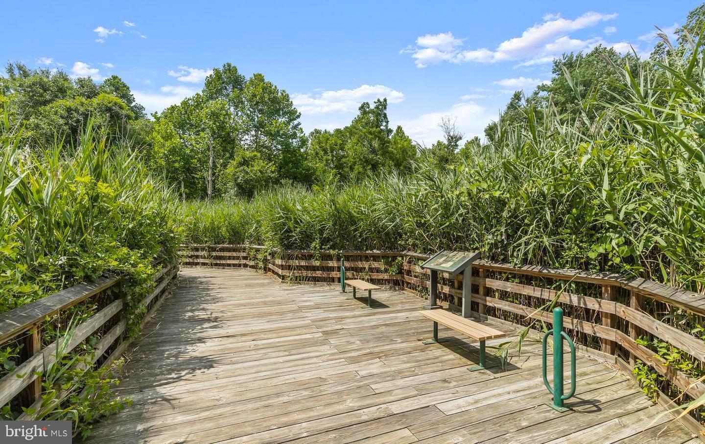 BCKGHM CND@OWGS MS NW TN - Residential Lease