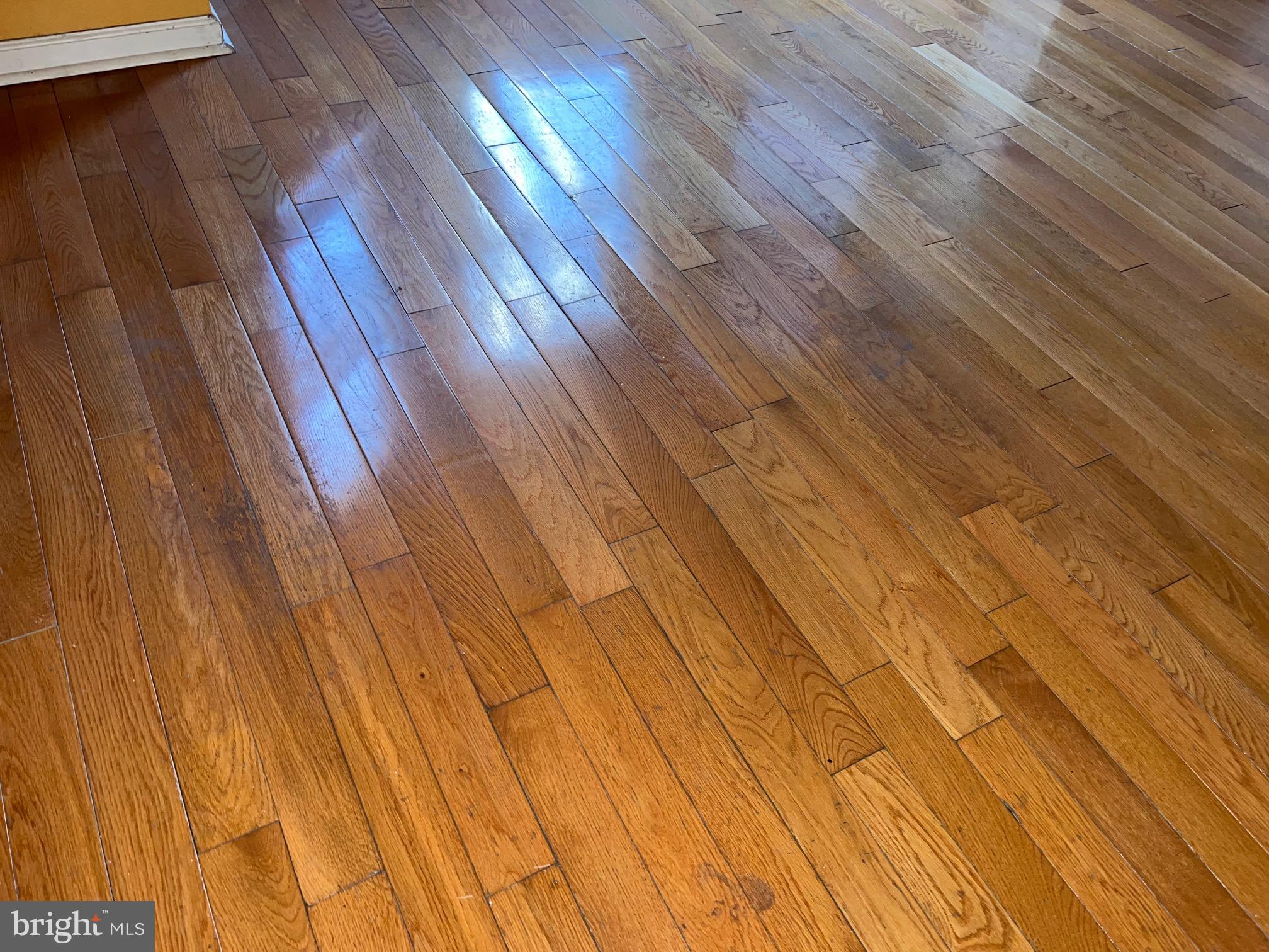 ALLEGHENY WEST - Residential