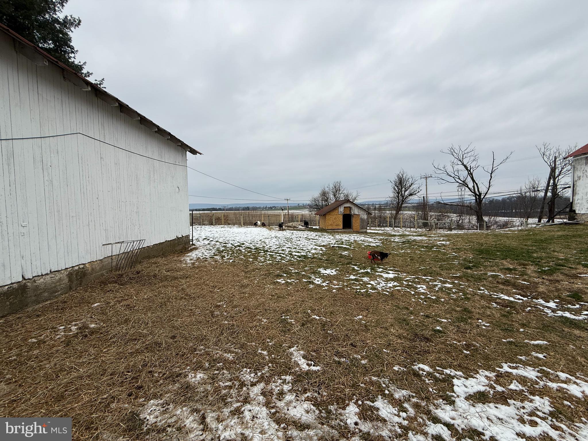 NONE AVAILABLE - Farm