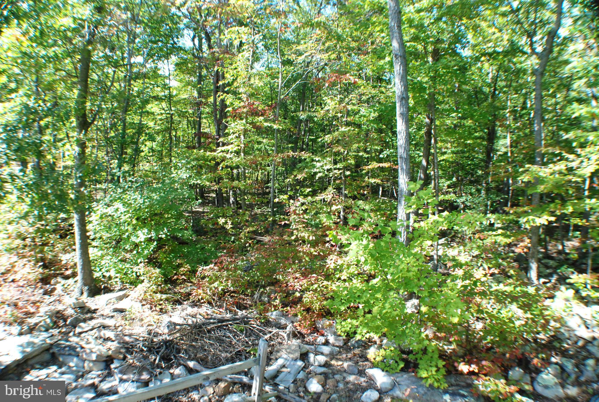 SHAWNEELAND - Residential