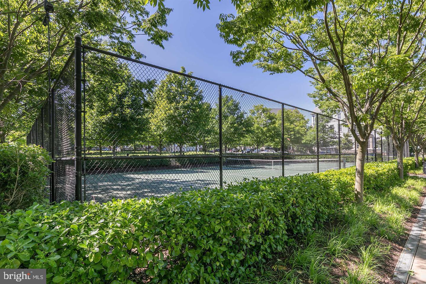 MAPLE LAWN - Residential Lease