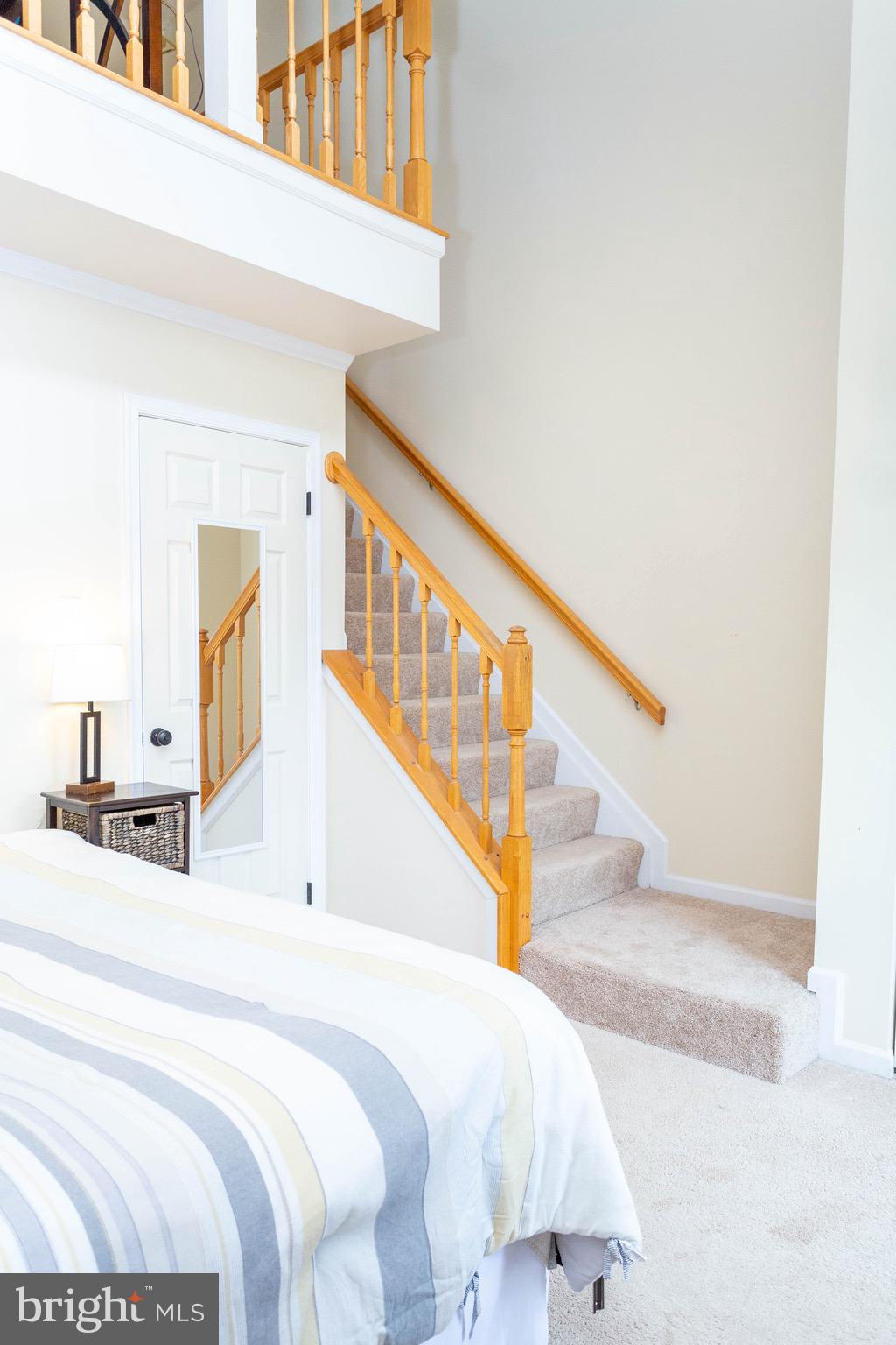 CONSTANT FRIENDSHIP - Residential