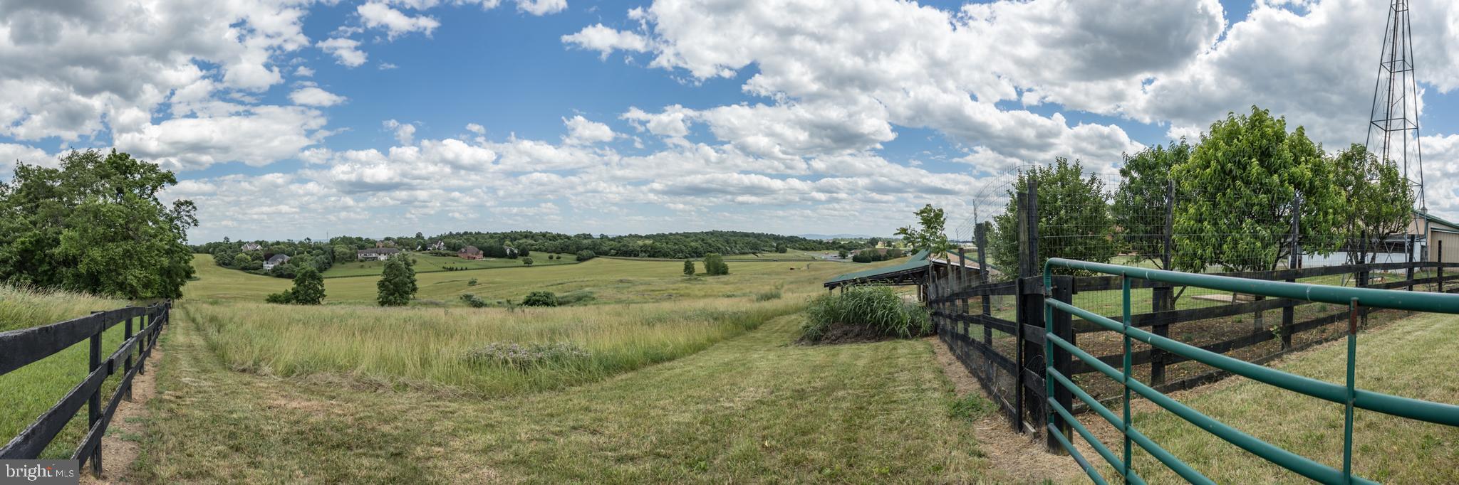 THE ORCHARD - Residential