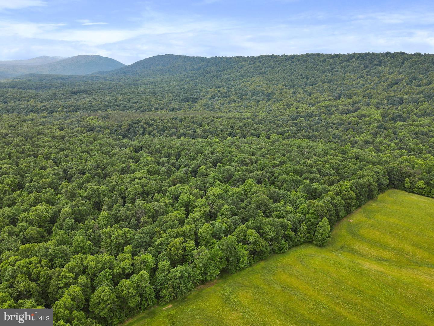 75.31+/- ACRES OFF OF PORTERS LN