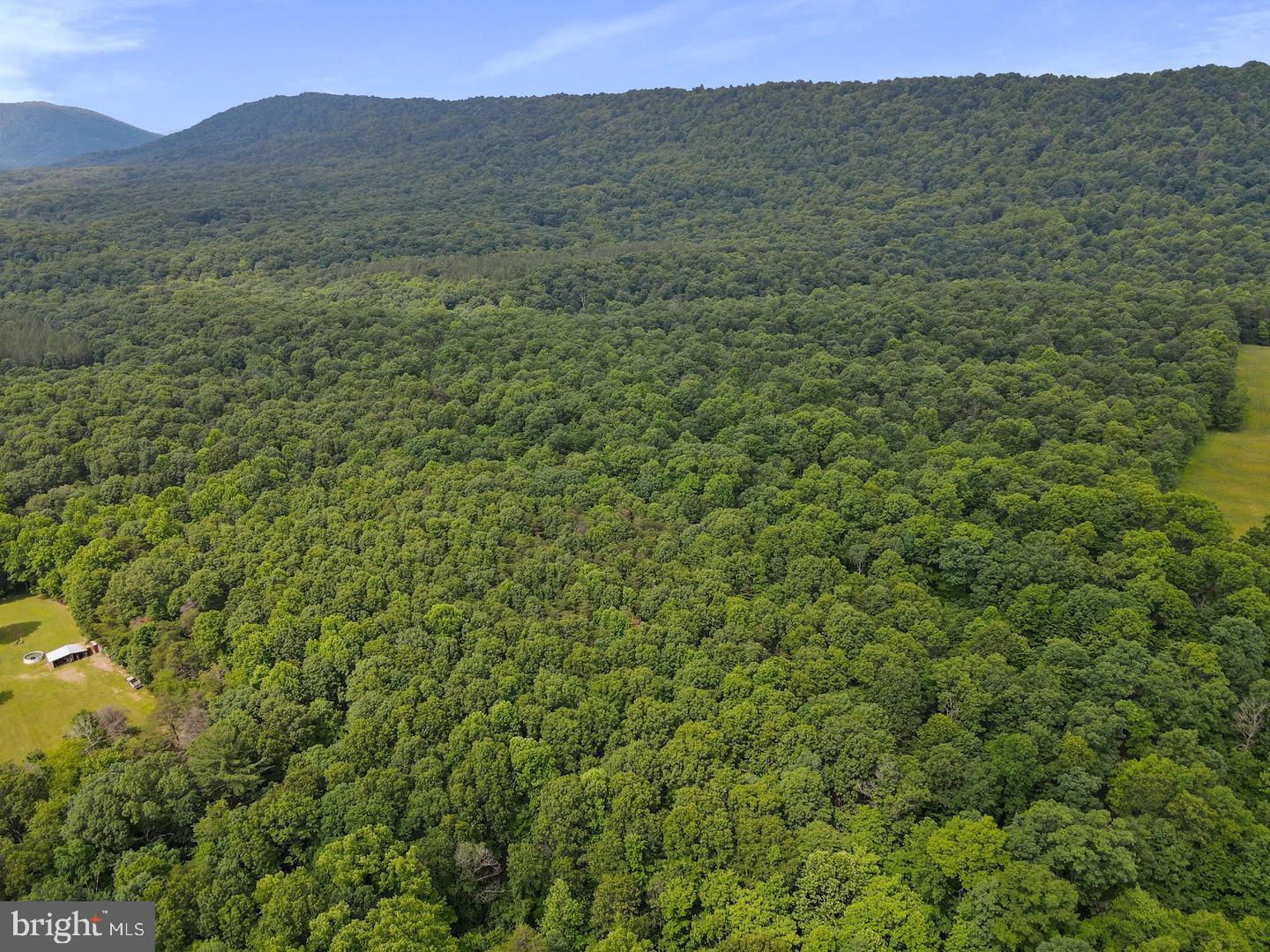 75.31+/- ACRES OFF OF PORTERS LN