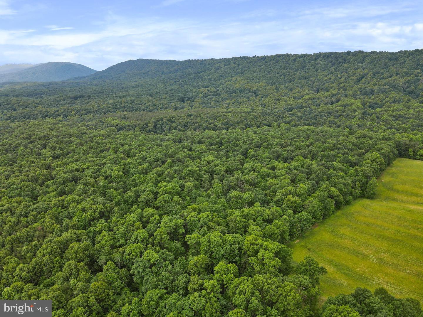 75.31+/- ACRES OFF OF PORTERS LN