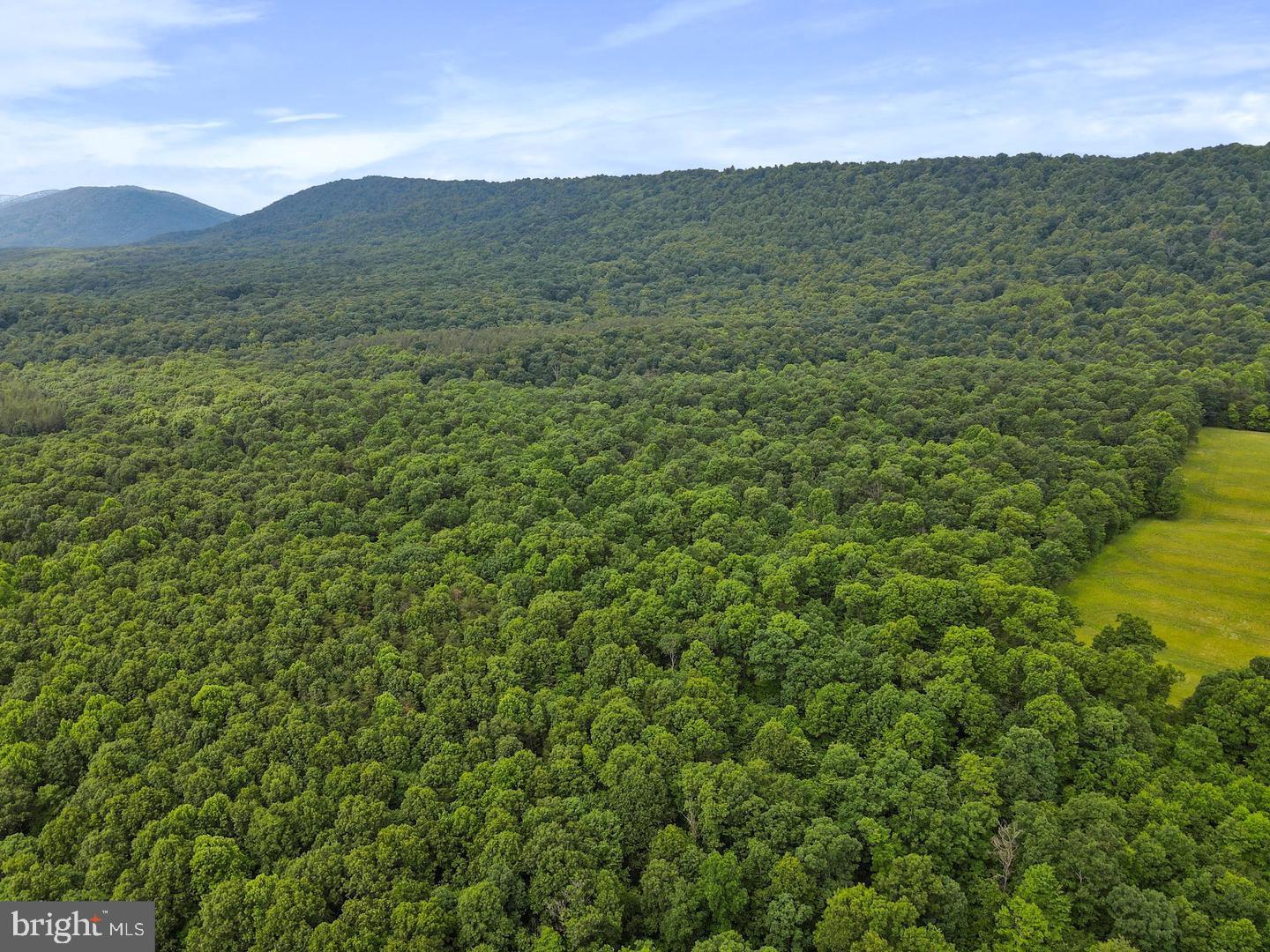 75.31+/- ACRES OFF OF PORTERS LN