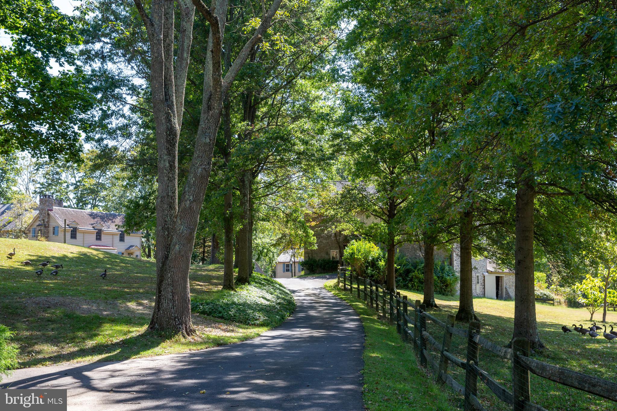 SPRING VALLEY - Residential