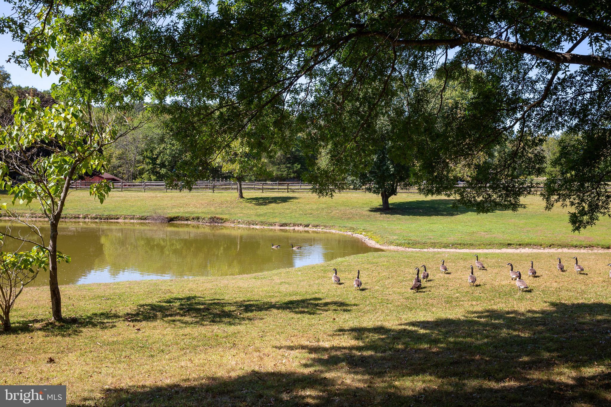 SPRING VALLEY - Residential