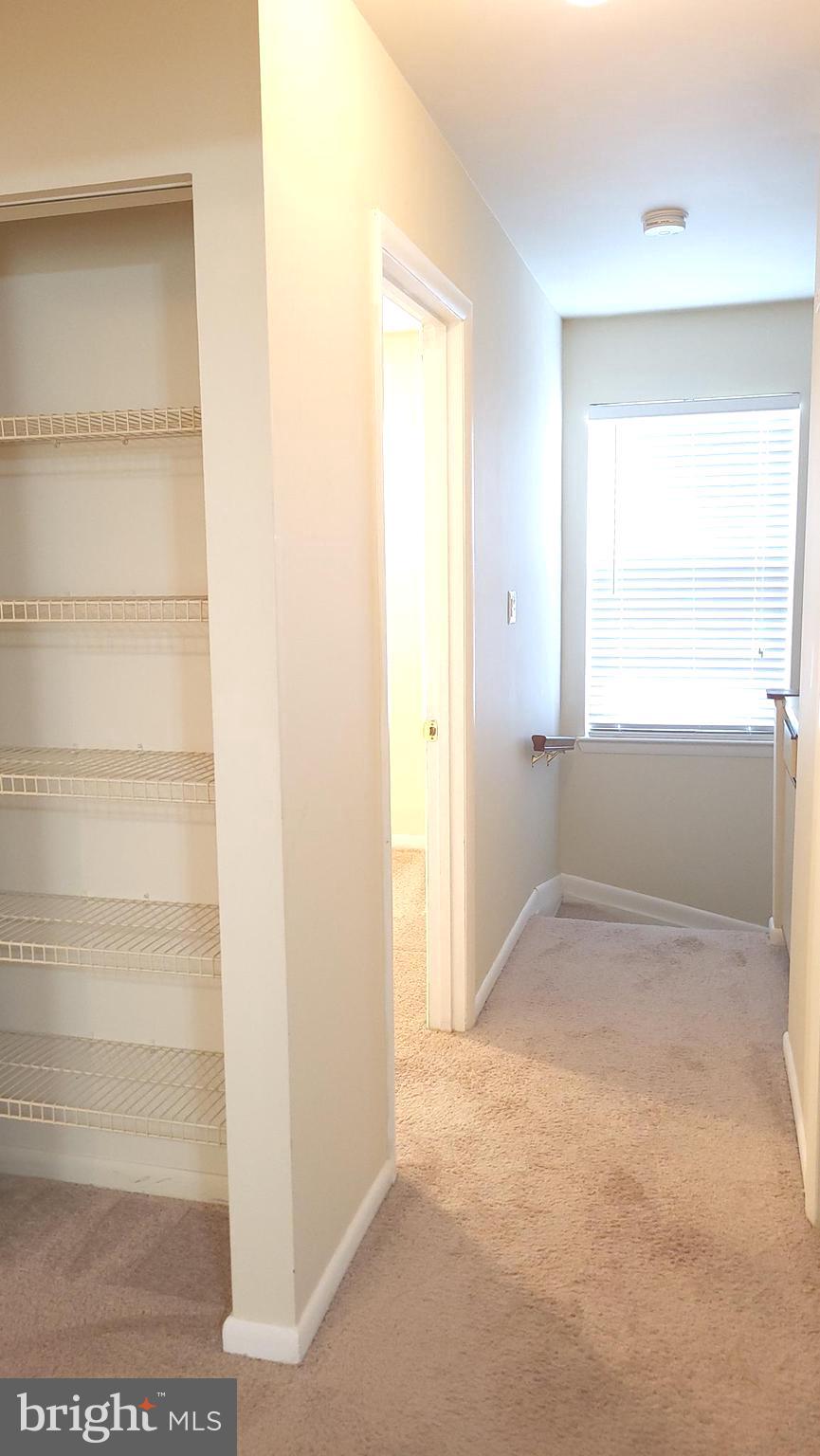 MARLBOROUGH CONDOMINIUM - Residential Lease