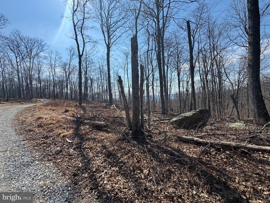 21.38 acre lot with direct road frontage.  This lot has electric at the site and there is a shared driveway in place. Do not miss this opportunity to own over 21 acres in Frederick County, MD!