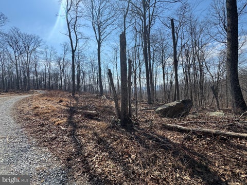 Vacant Land For Sale - Middle Point Road<br/> Frederick County, MYERSVILLE, MD 21773