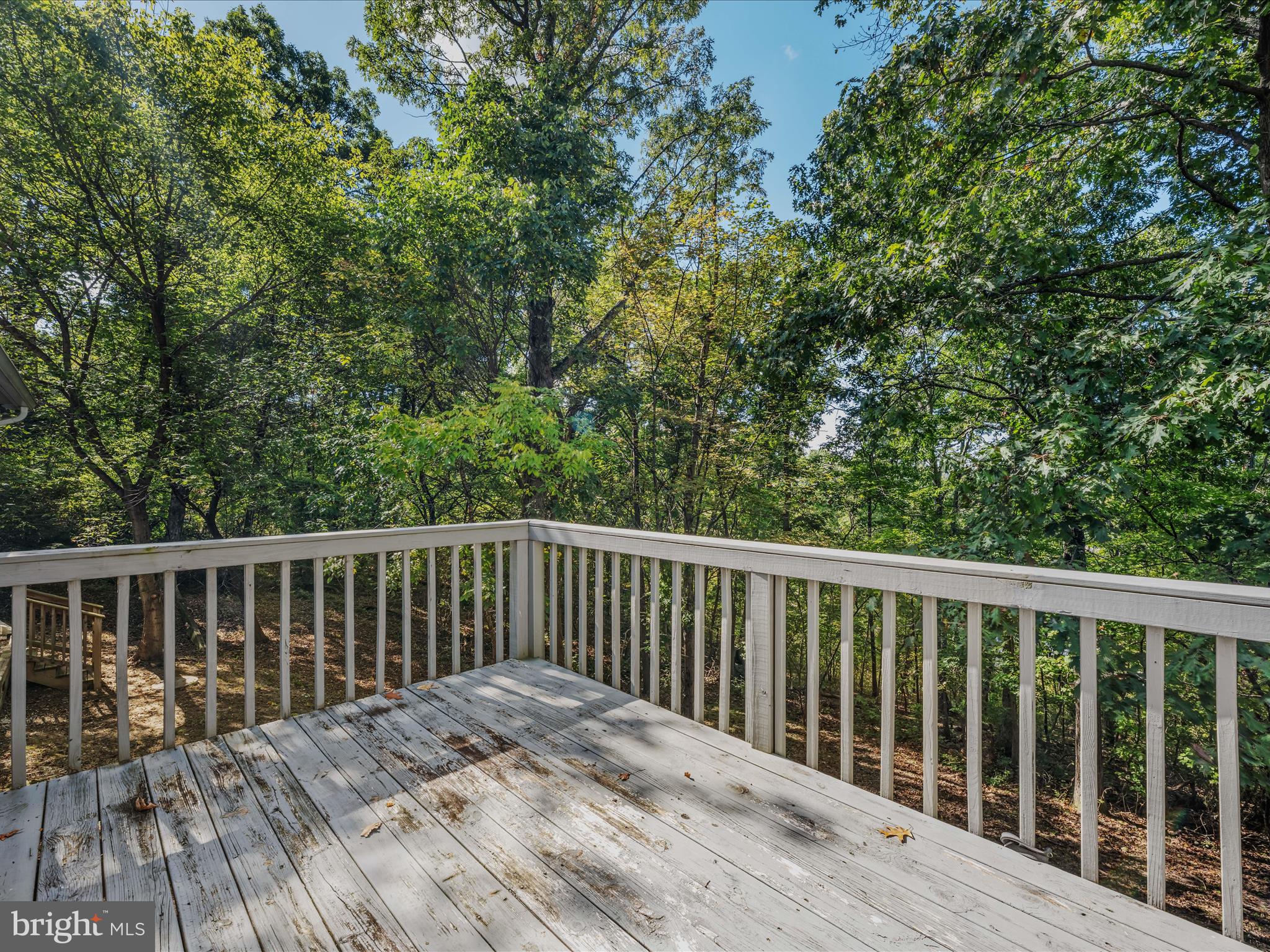 SHANNONDALE - Residential