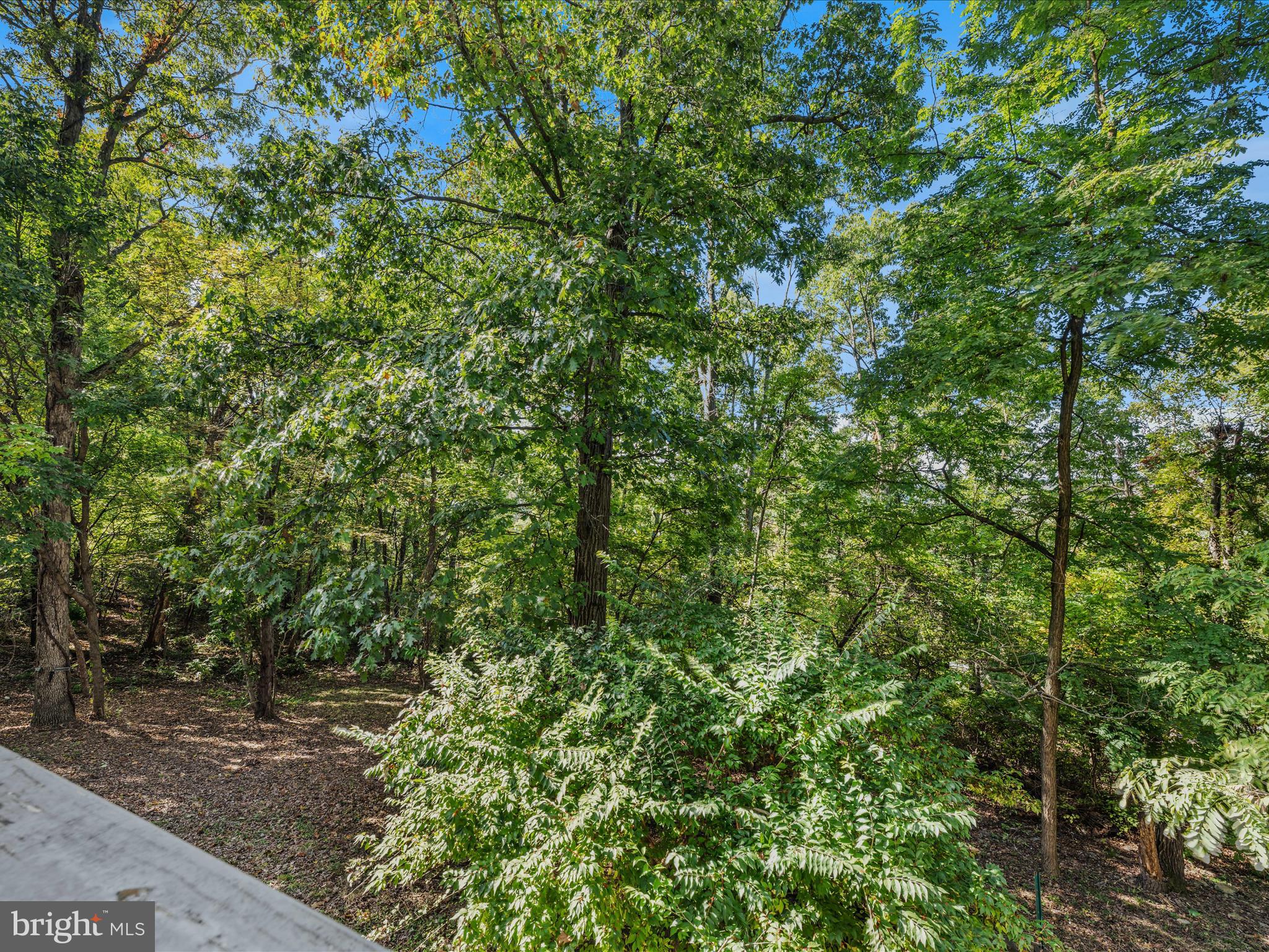 SHANNONDALE - Residential