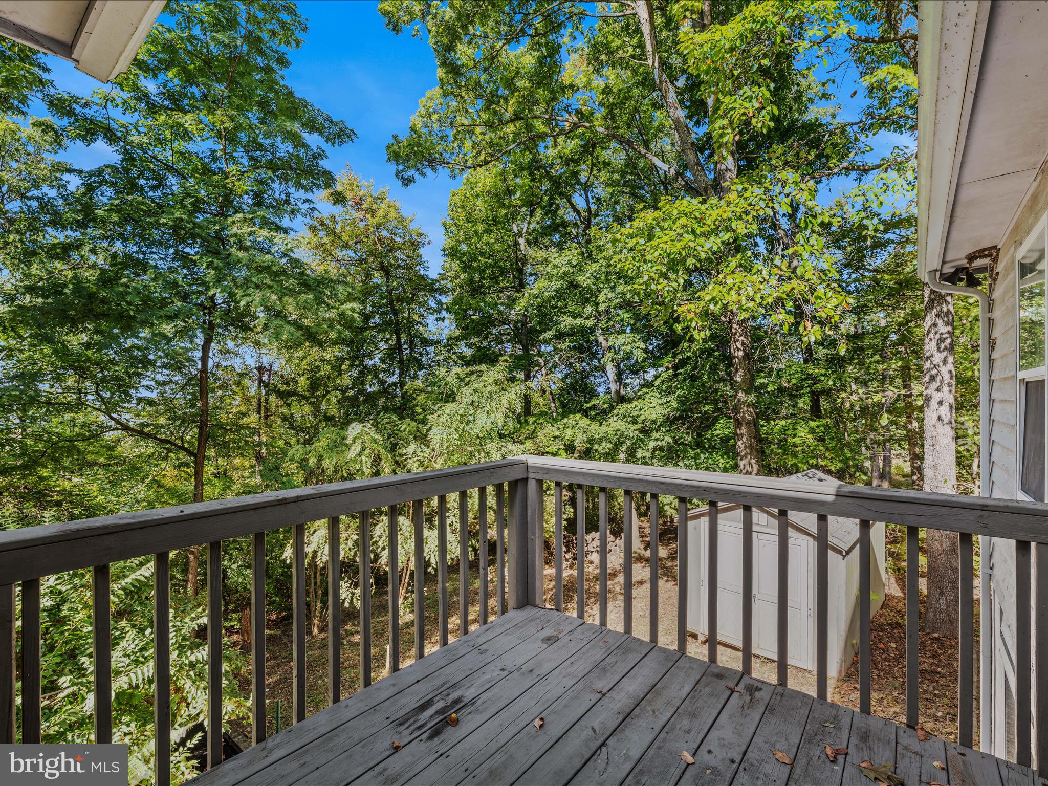 SHANNONDALE - Residential