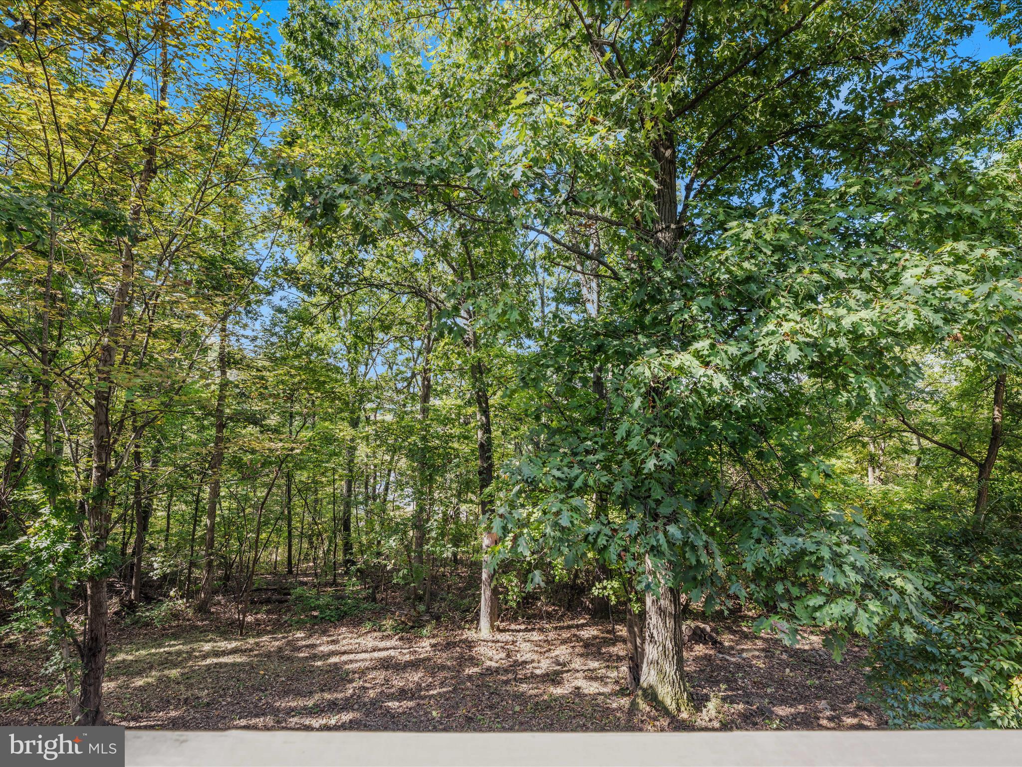 SHANNONDALE - Residential