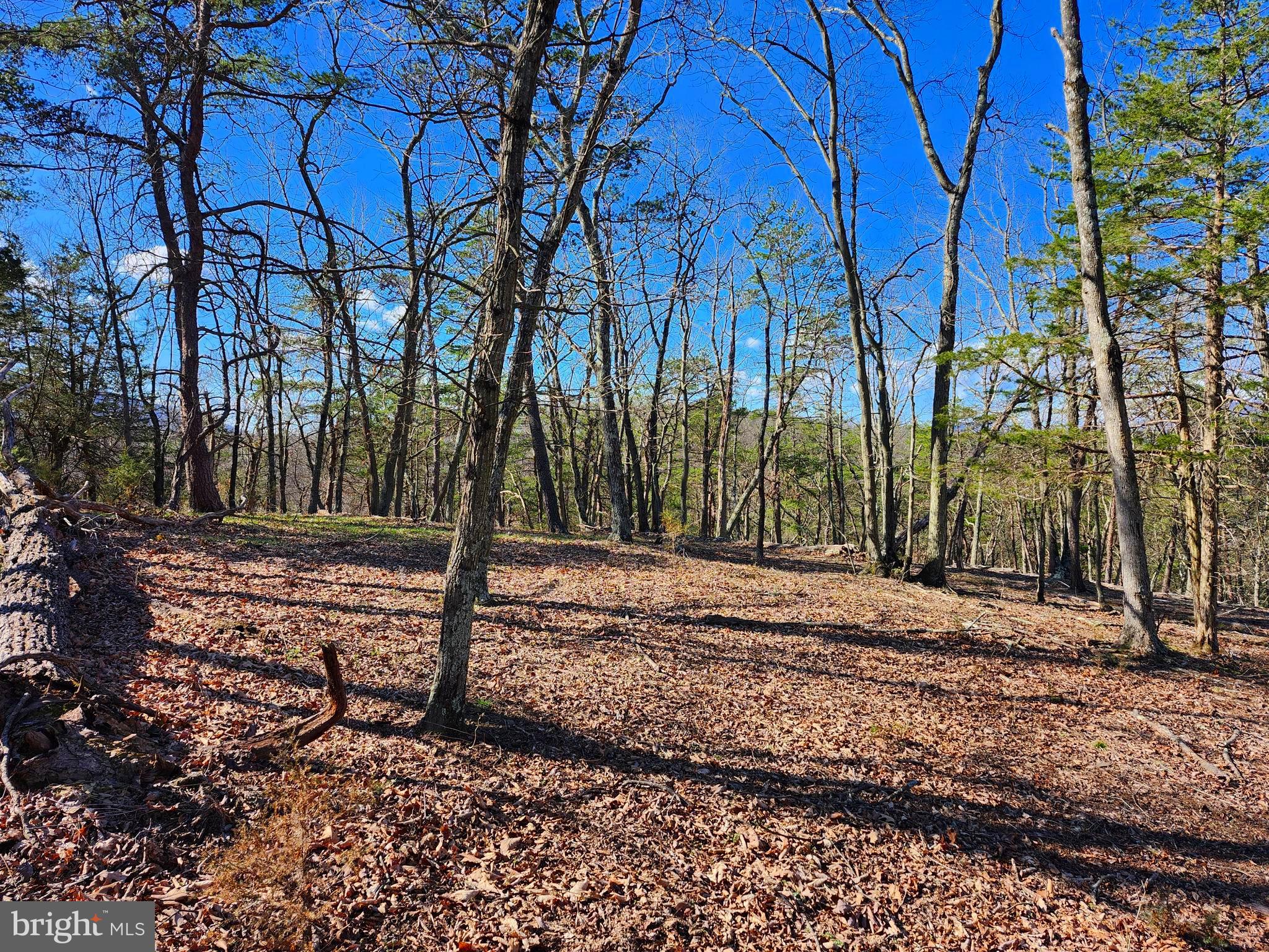 OLD MOUNTAIN RUN - Land