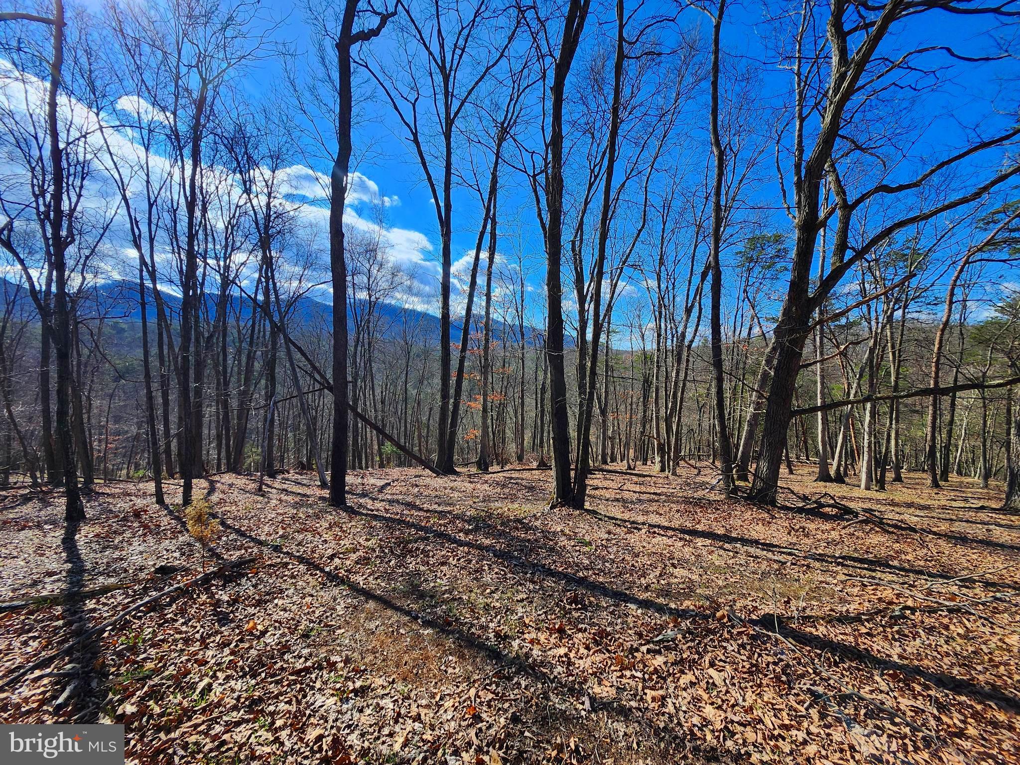 OLD MOUNTAIN RUN - Land