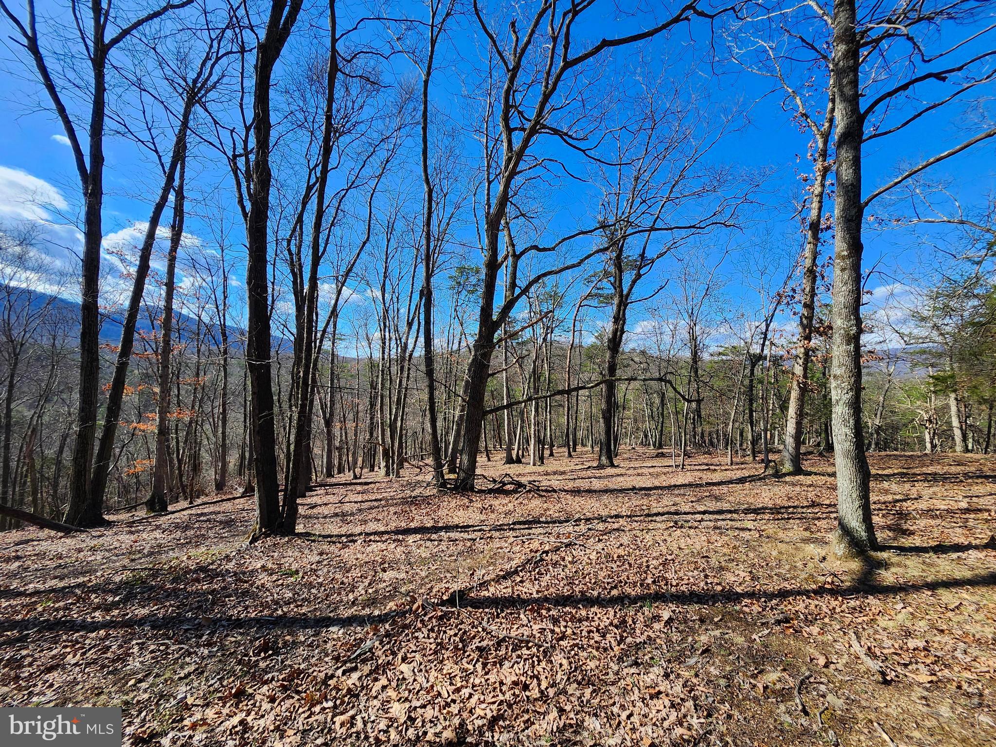 OLD MOUNTAIN RUN - Land