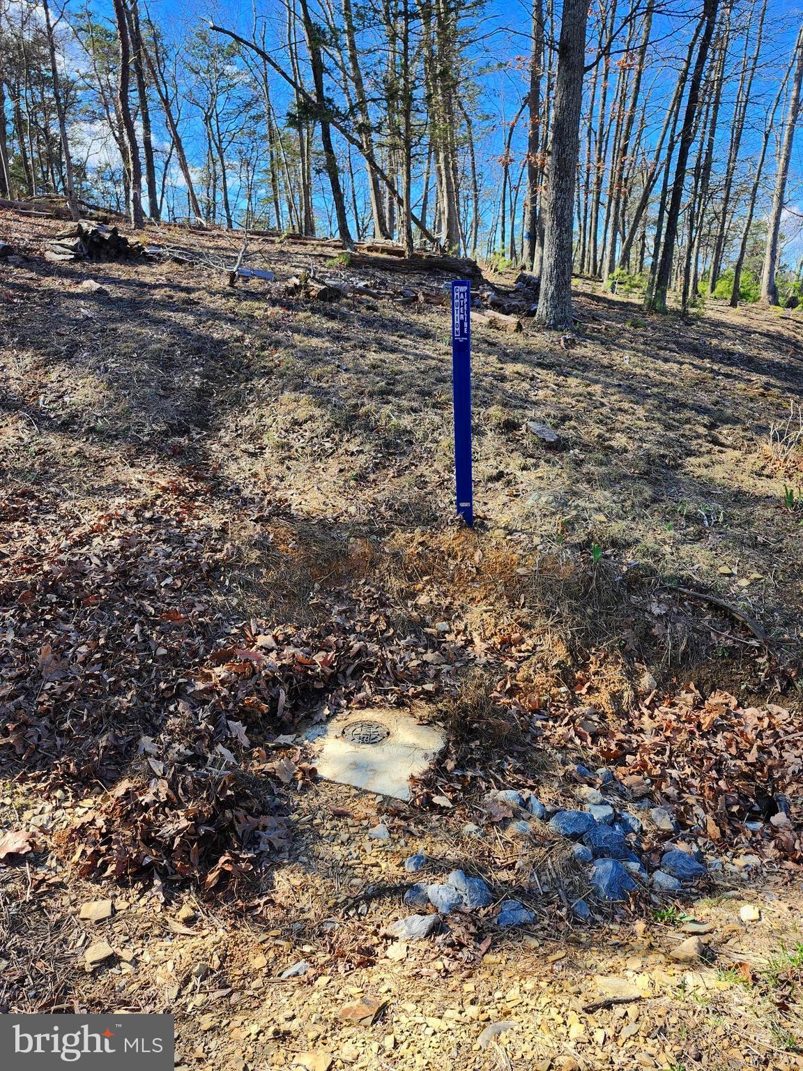 OLD MOUNTAIN RUN - Land