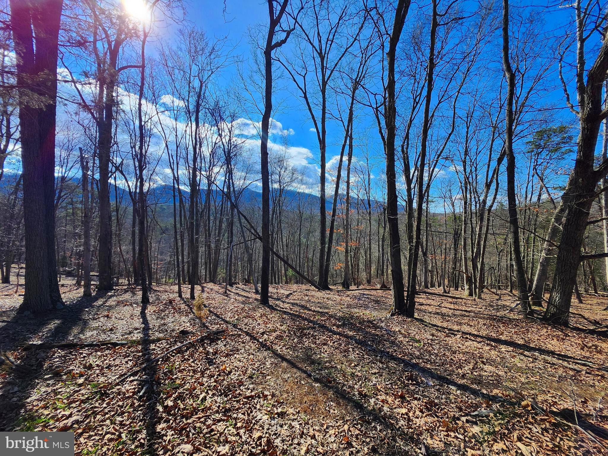 OLD MOUNTAIN RUN - Land