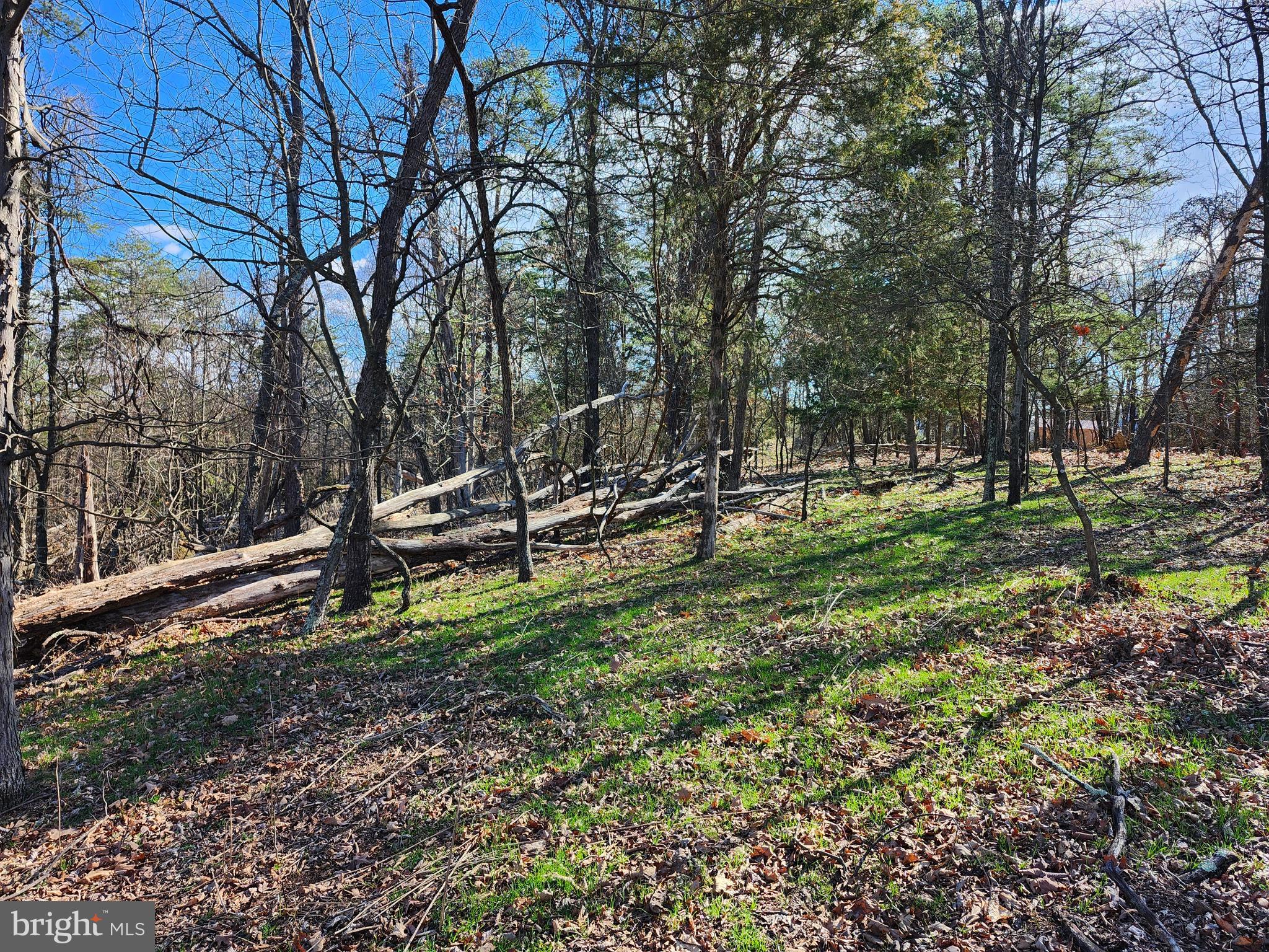 OLD MOUNTAIN RUN - Land