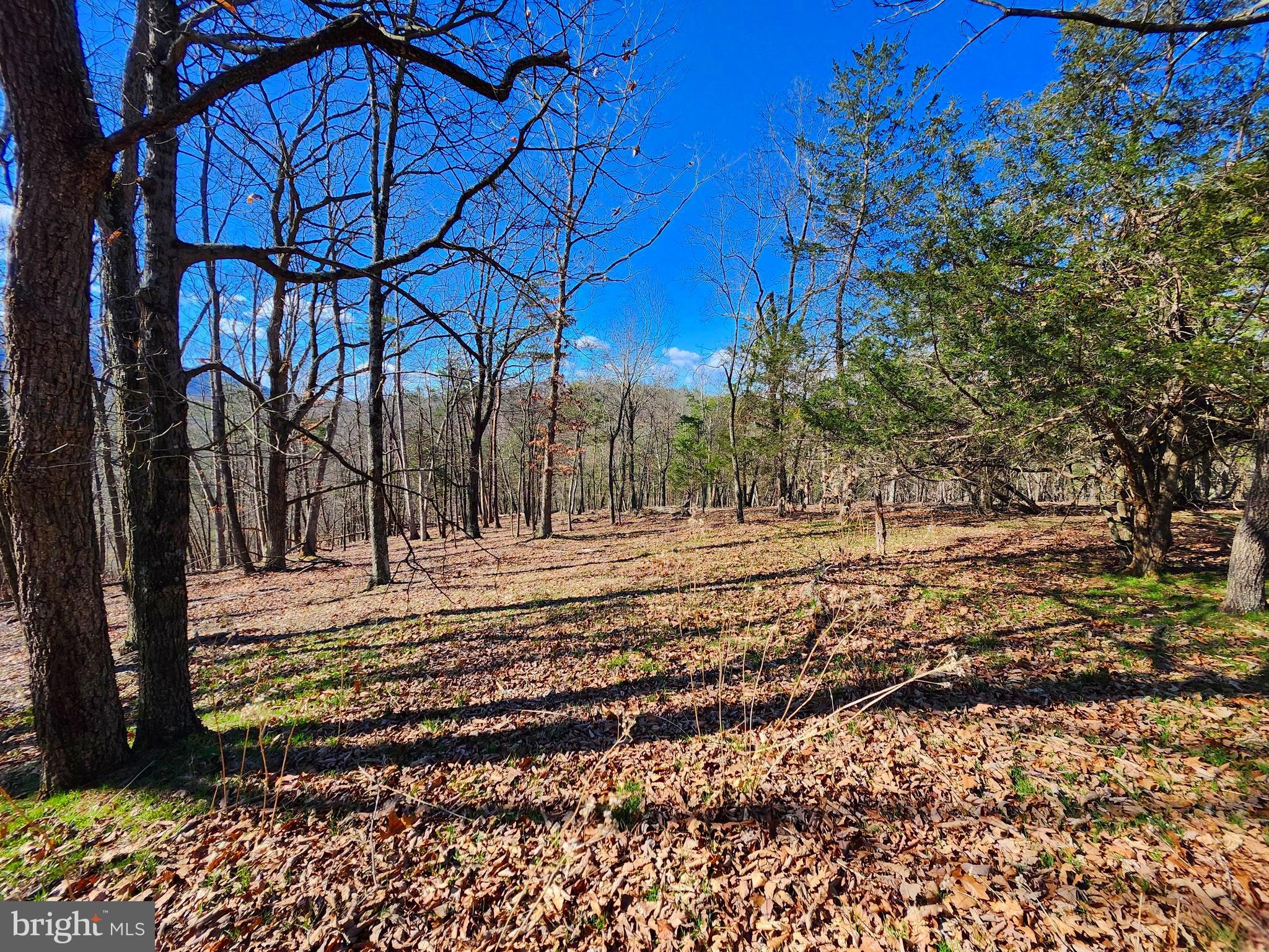 OLD MOUNTAIN RUN - Land