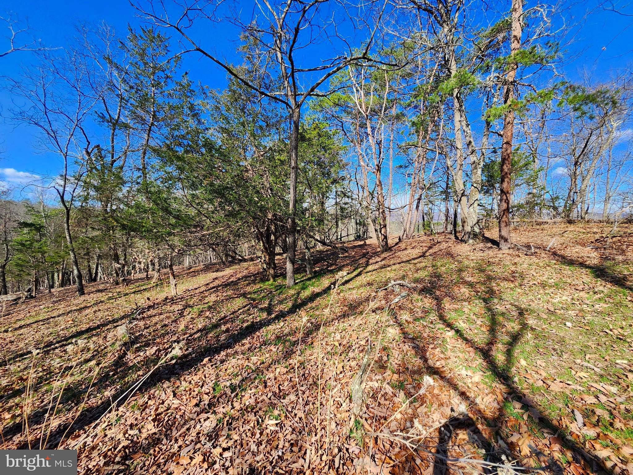 OLD MOUNTAIN RUN - Land