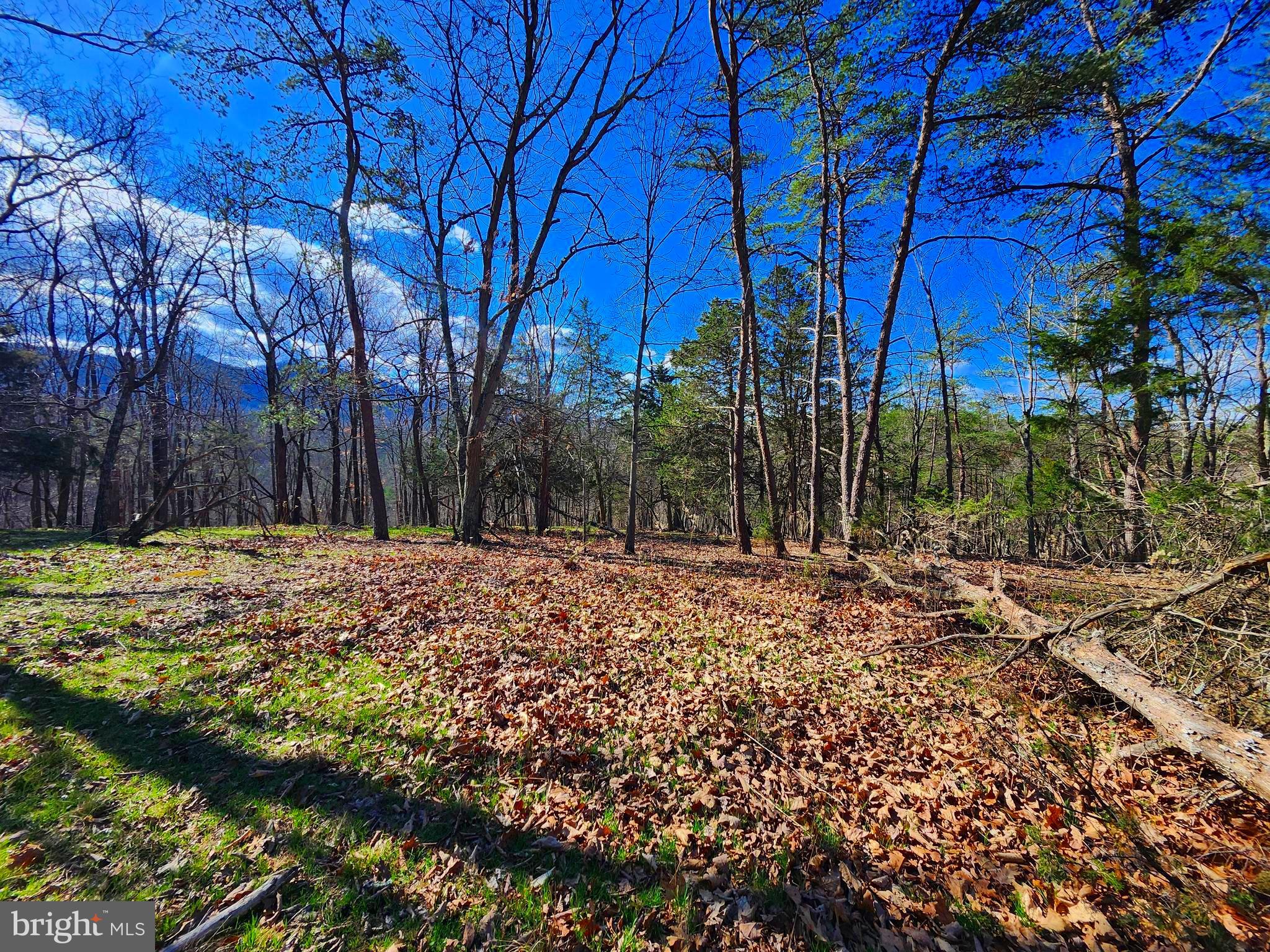 OLD MOUNTAIN RUN - Land