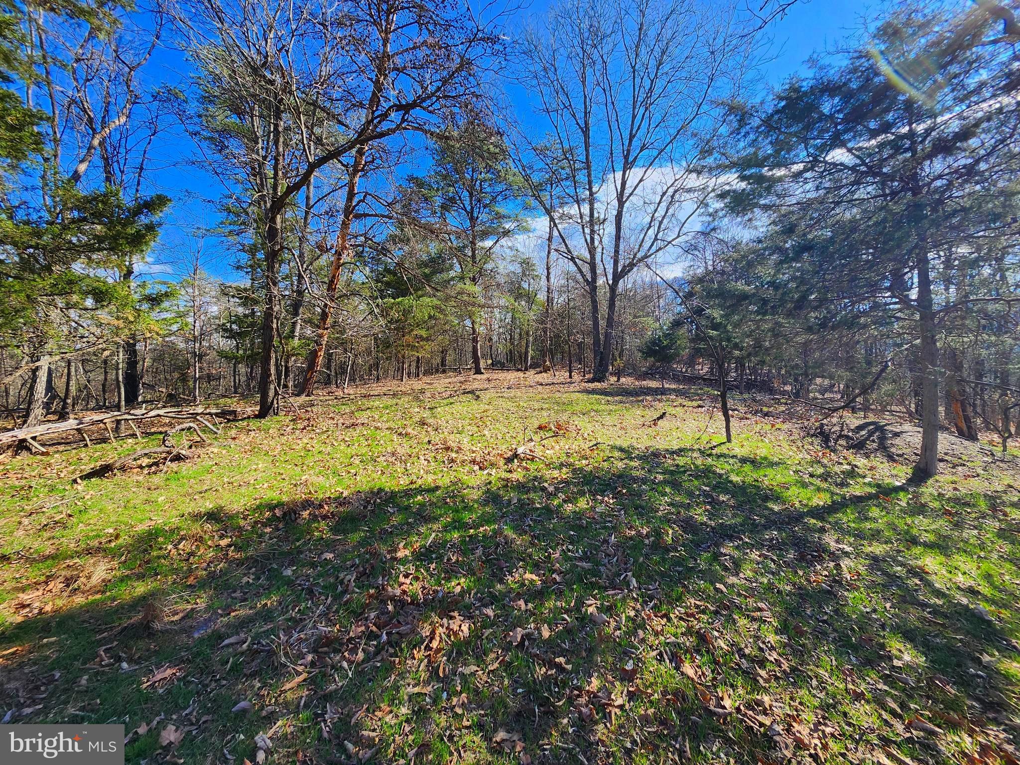 OLD MOUNTAIN RUN - Land