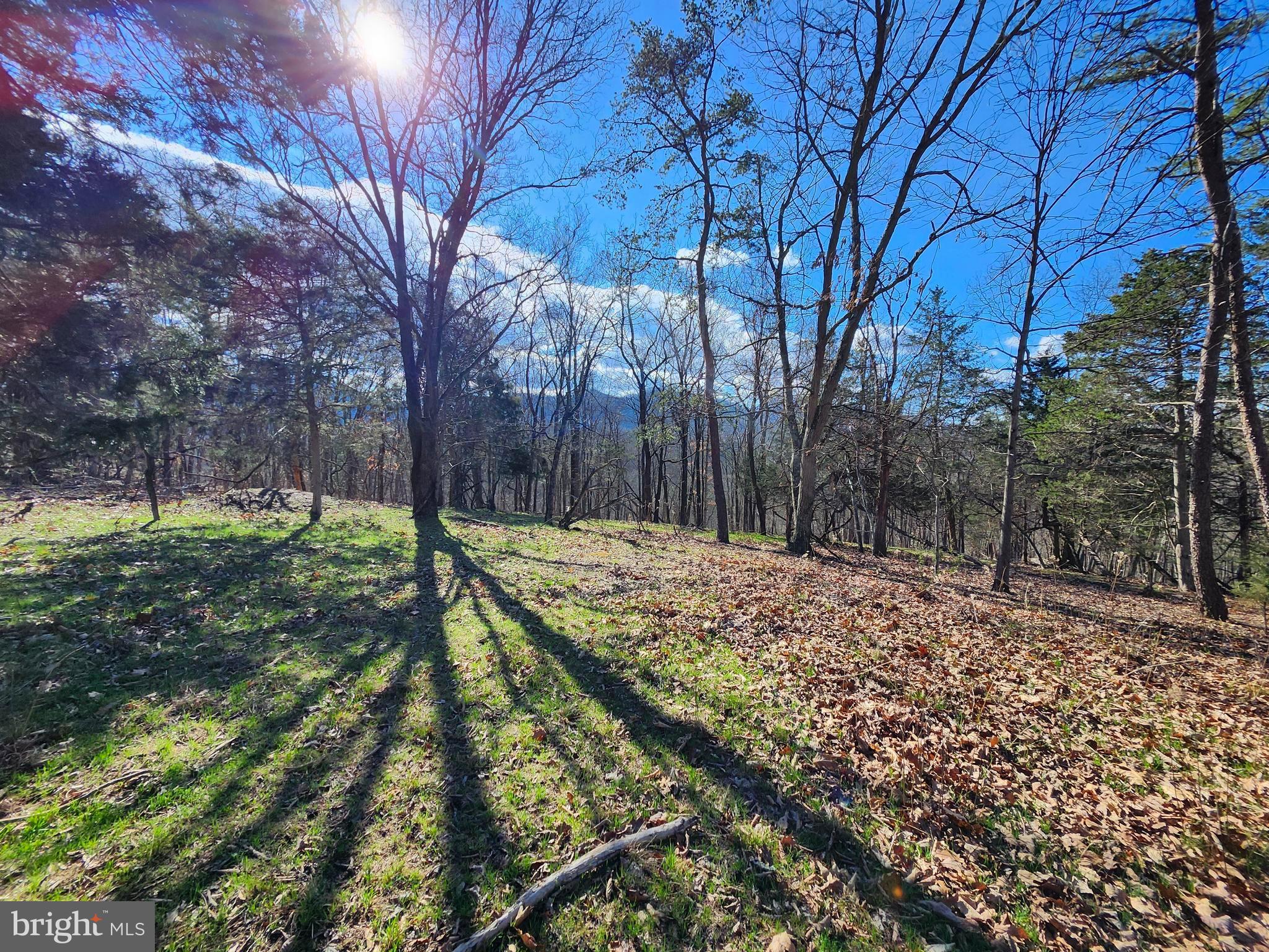 OLD MOUNTAIN RUN - Land