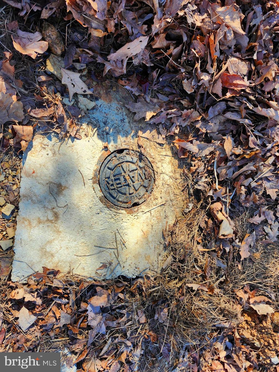 OLD MOUNTAIN RUN - Land