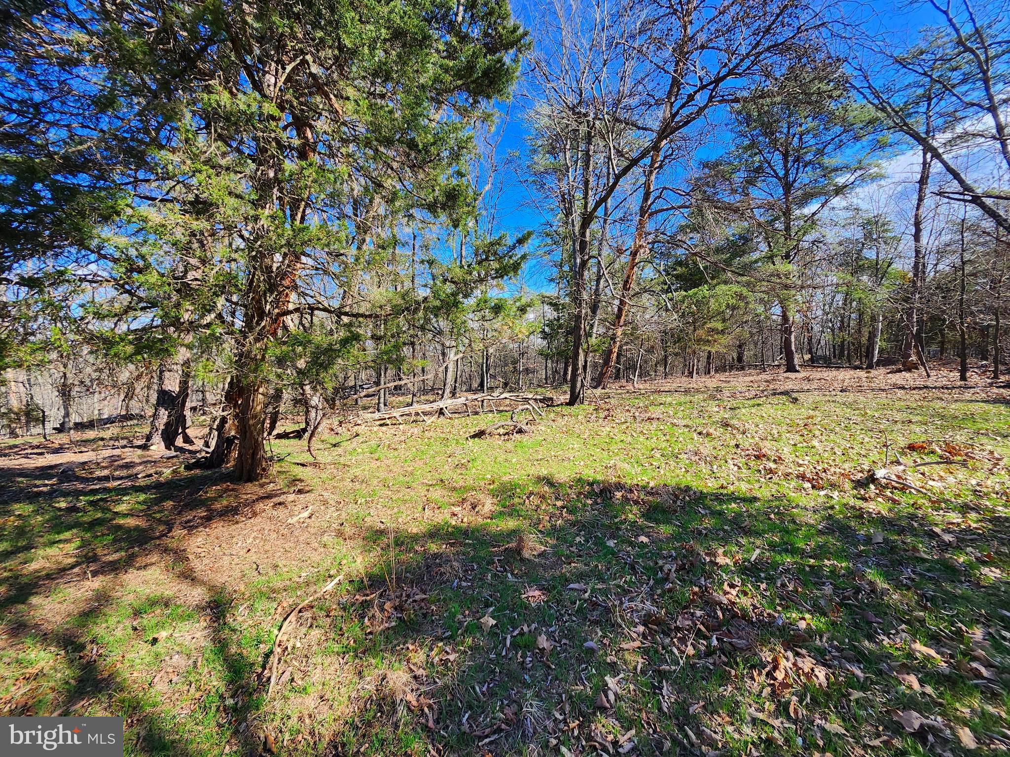 OLD MOUNTAIN RUN - Land