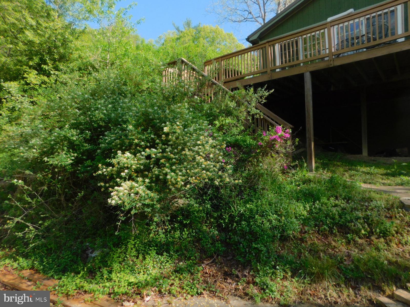 RUSH LICK HOLLOW - Residential