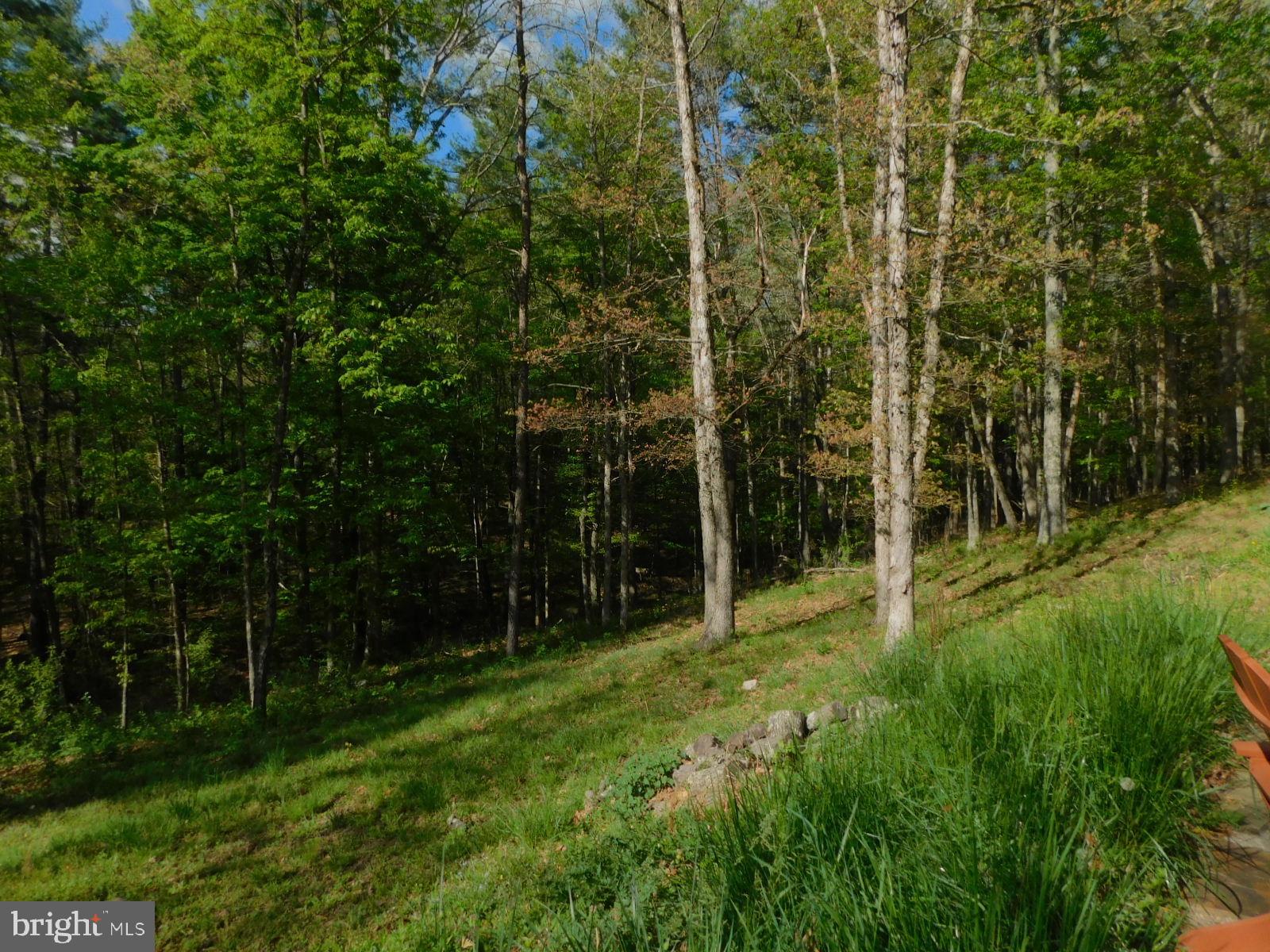 RUSH LICK HOLLOW - Residential