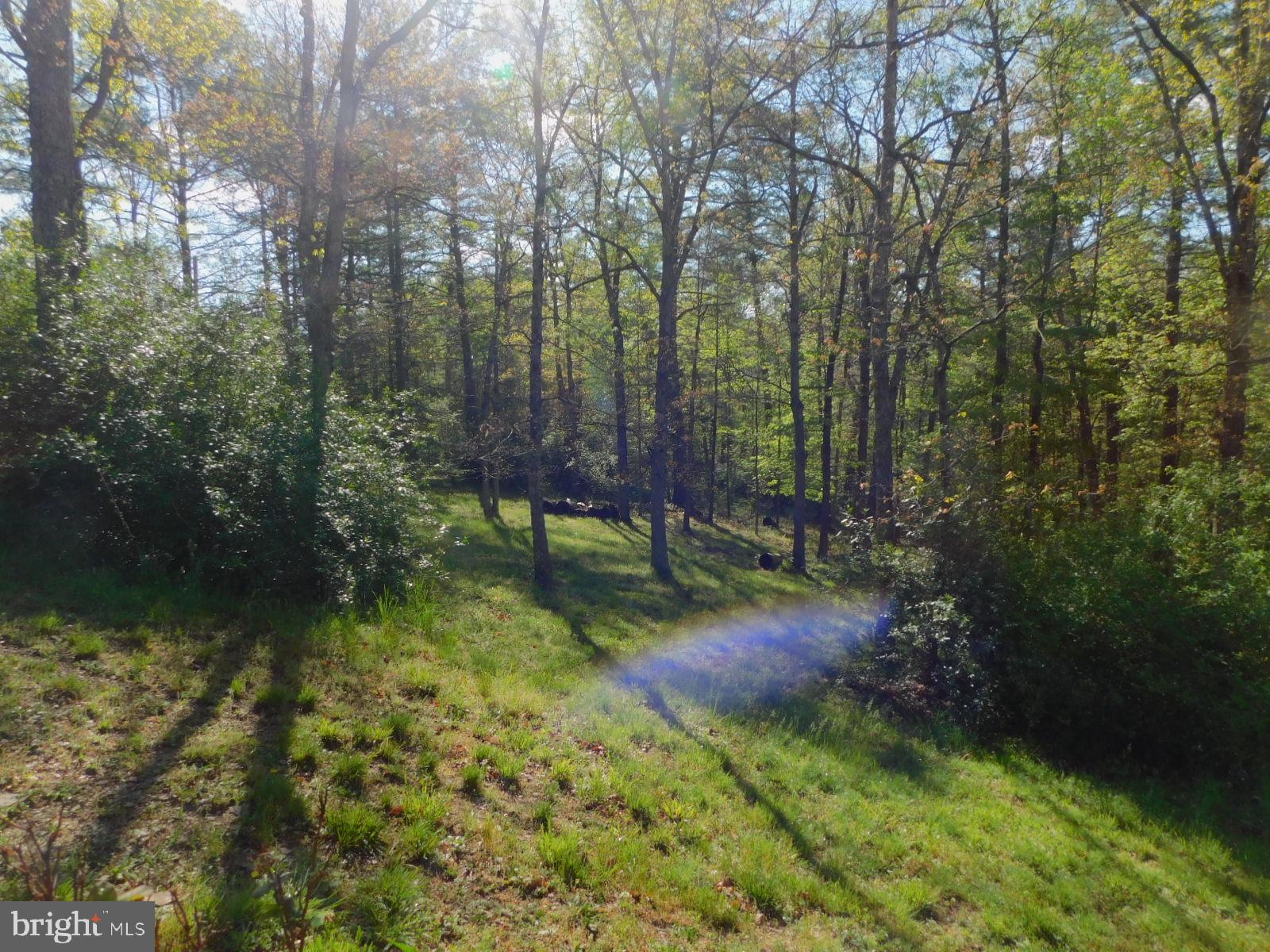 RUSH LICK HOLLOW - Residential