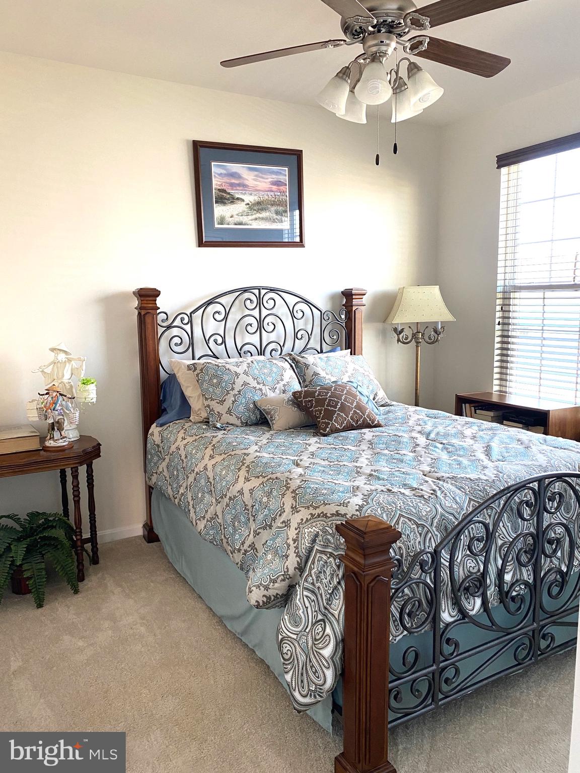 SHENANDOAH SPRINGS - Residential