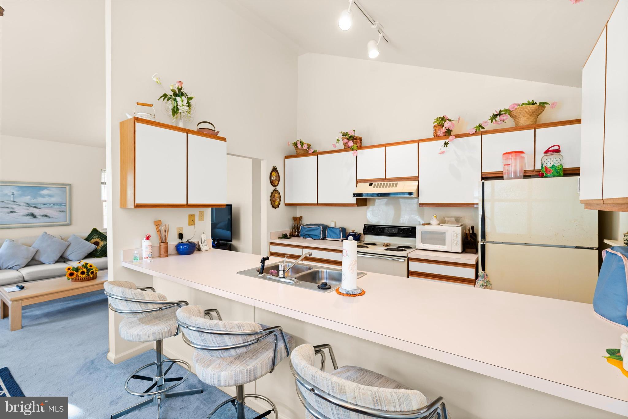 OCEAN PINES - SHERWOOD FOREST - Residential