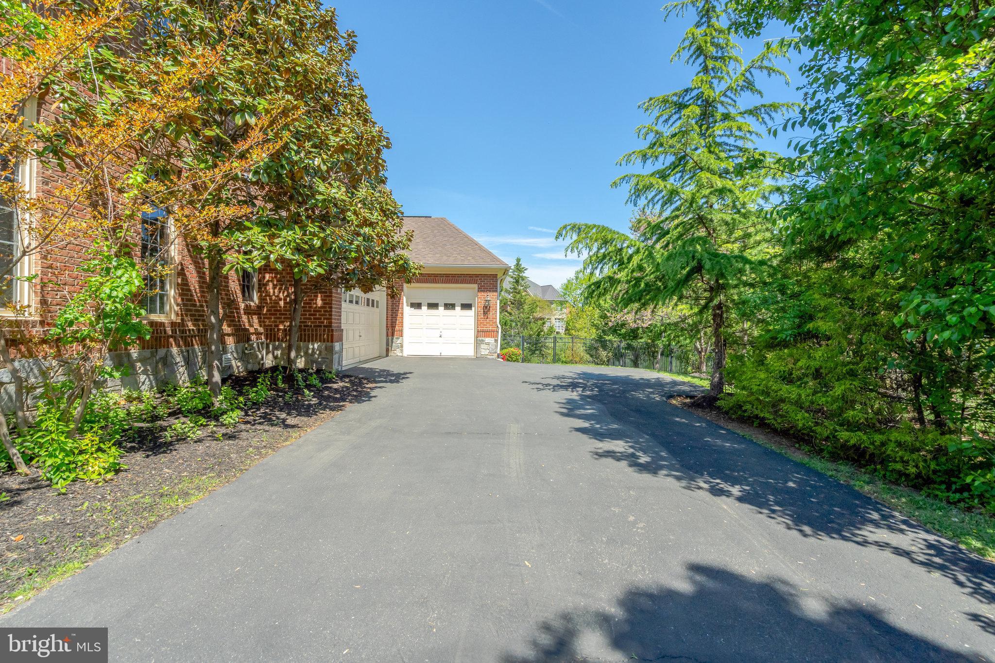 POPLAR TREE - Residential