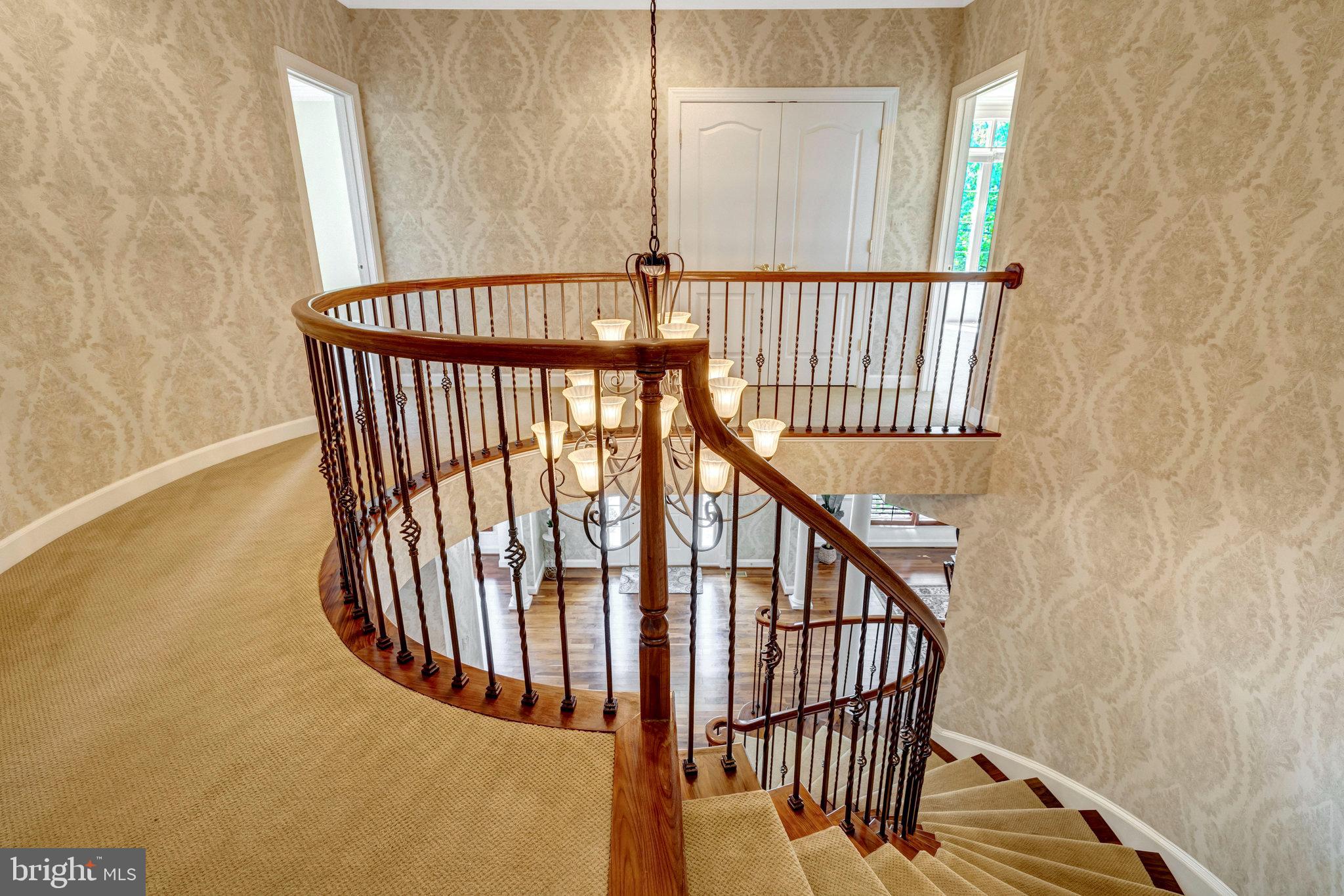 POPLAR TREE - Residential