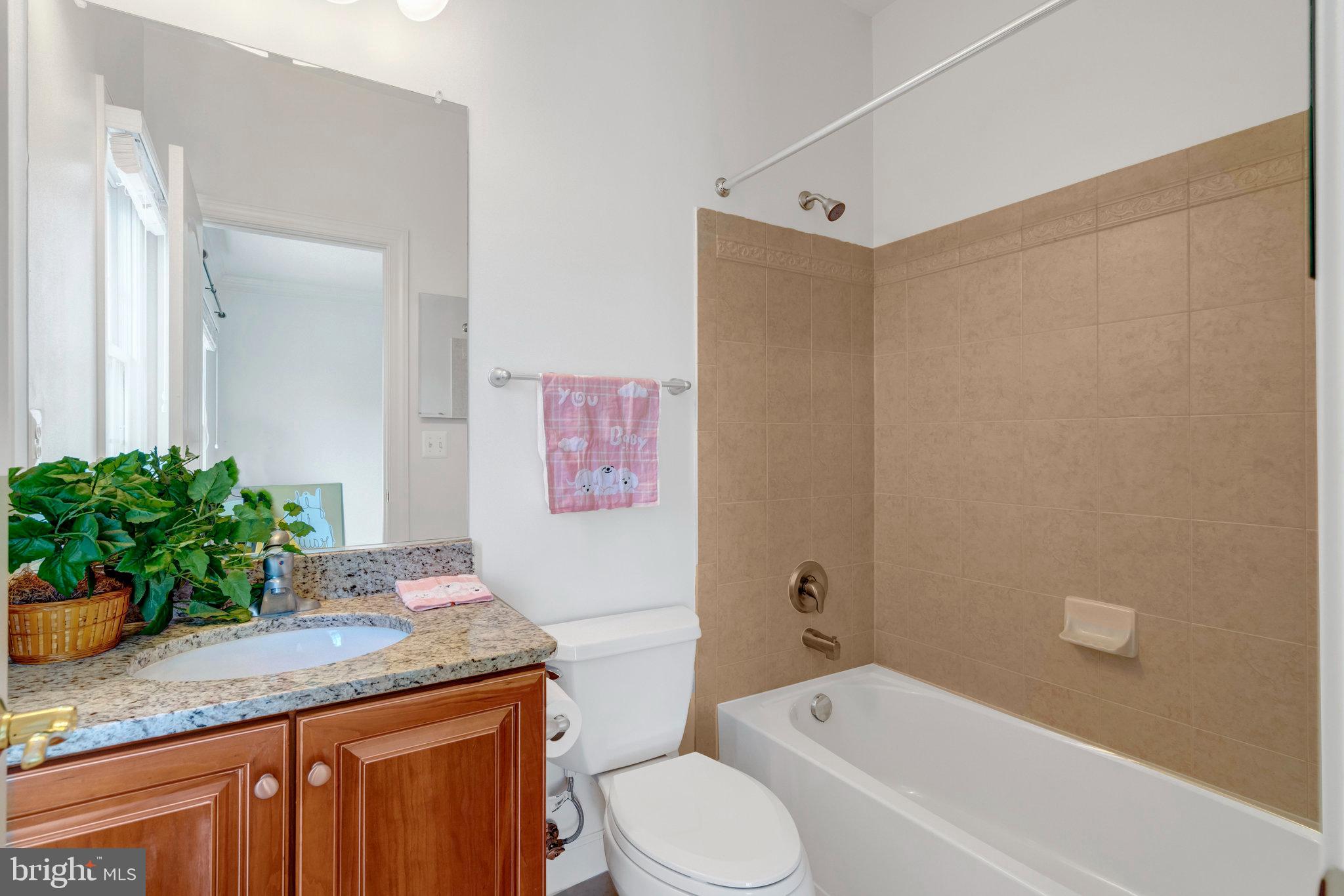 POPLAR TREE - Residential