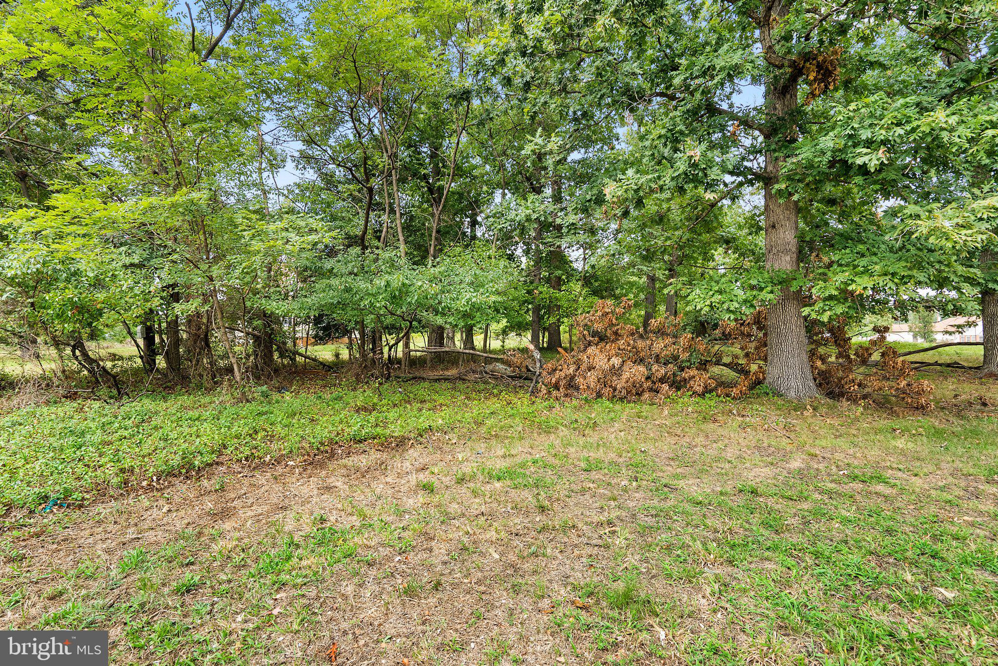 Come Build Your Dream Home on this Beautiful Nearly 1 Acre Lot in Silver Spring! Don't miss out on this incredible opportunity to build the home you've always envisioned. Whether you're looking for a peaceful retreat or a family-friendly neighborhood, this nearly 1-acre lot in Silver Spring, Maryland, has it all. This lot offers the best of both worlds - a serene suburban setting while being just moments away from all the conveniences of city living. You'll have easy access to shopping, dining, entertainment, and excellent schools. Contact us today to schedule a viewing and take the first step toward making your dream home a reality.