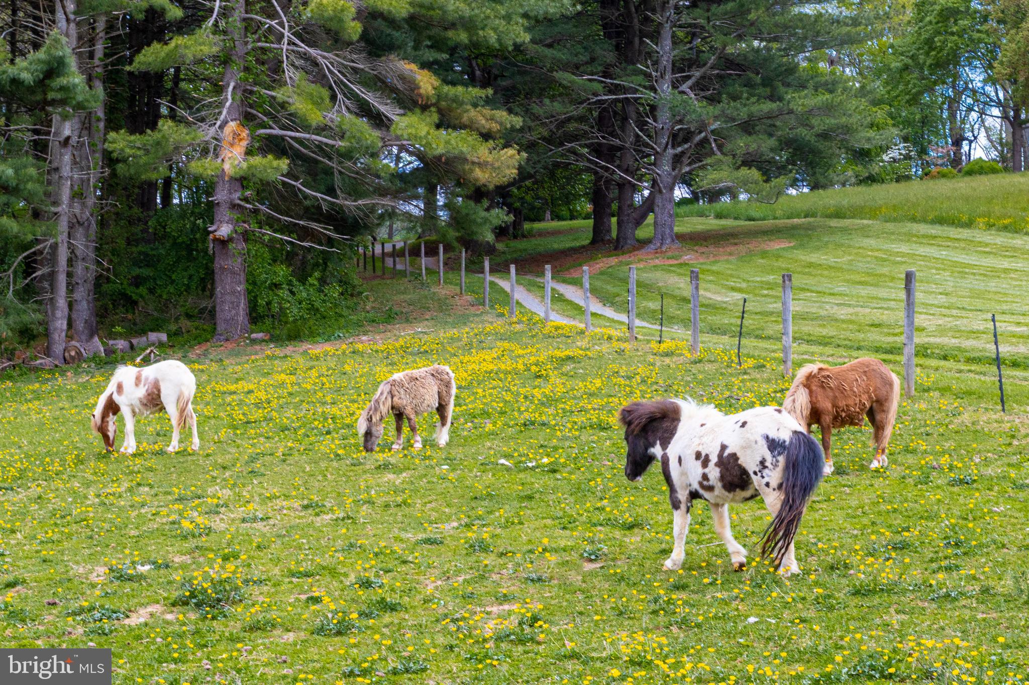 NONE AVAILABLE - Farm