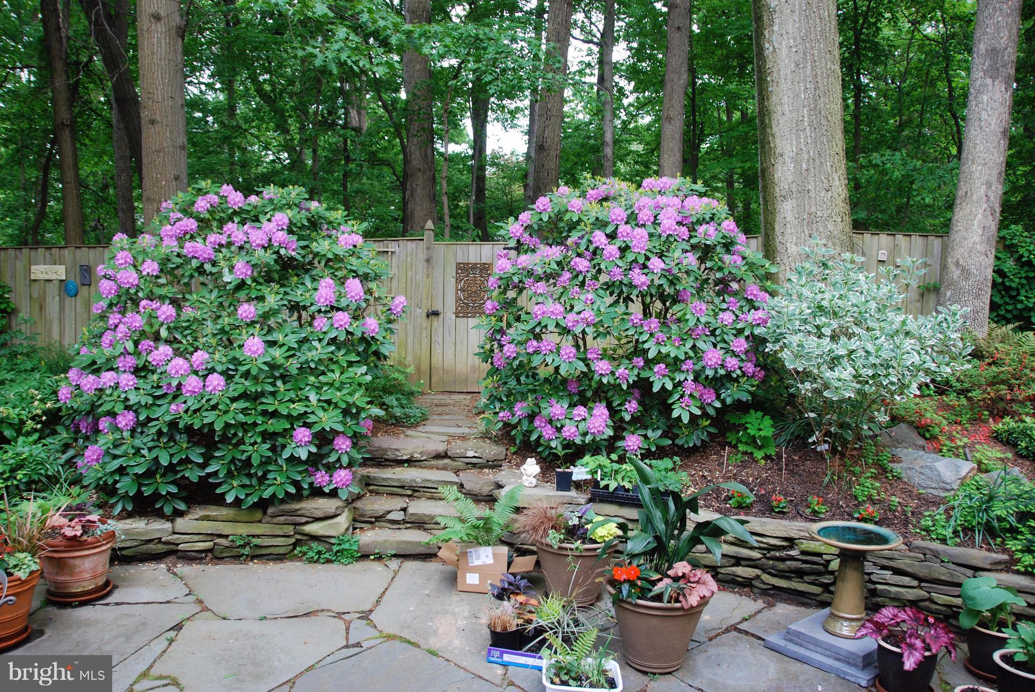 SOMERSET AT SOUTH RUN - Residential