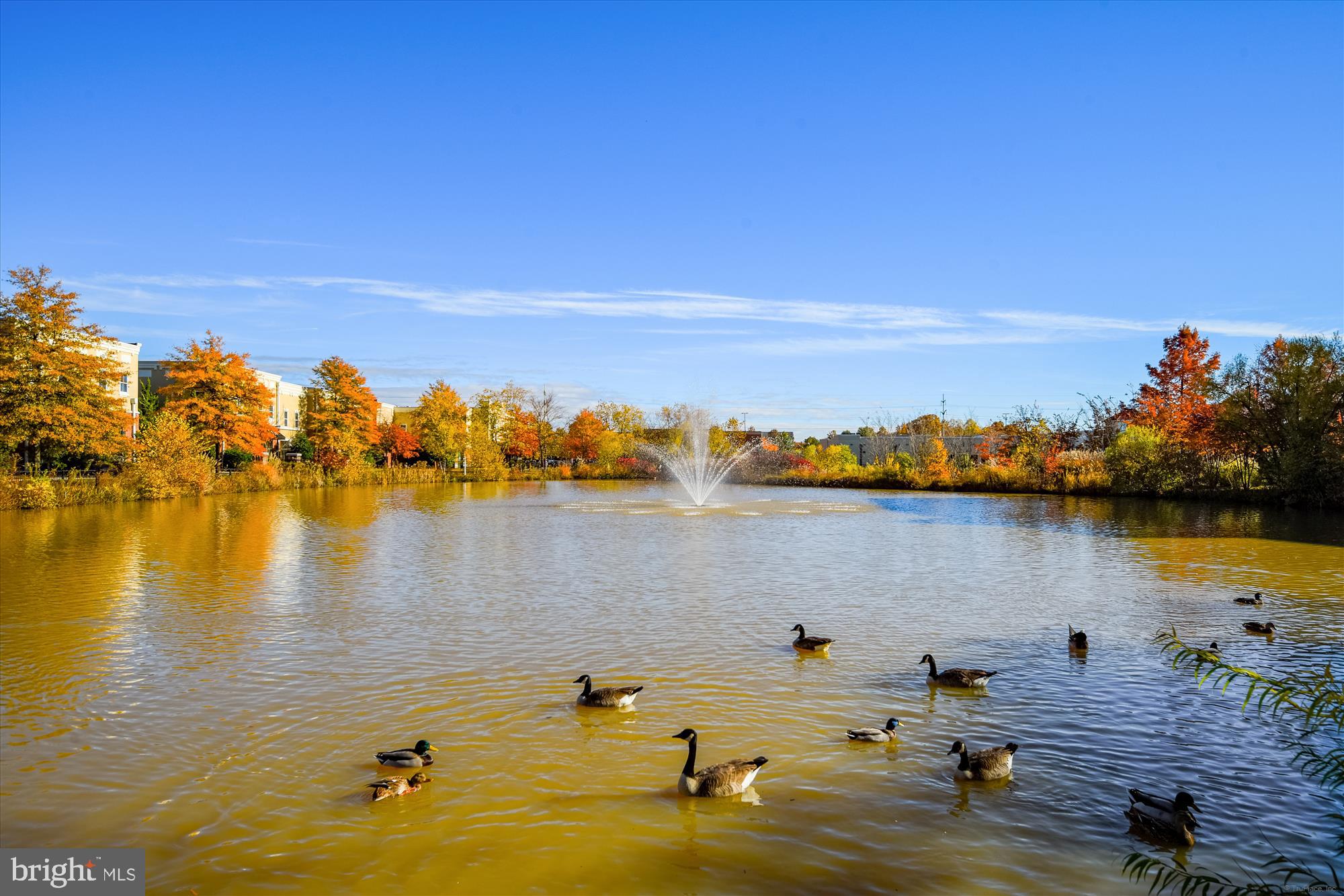 THE VILLAGE AT WAUGH CHAPEL - Residential
