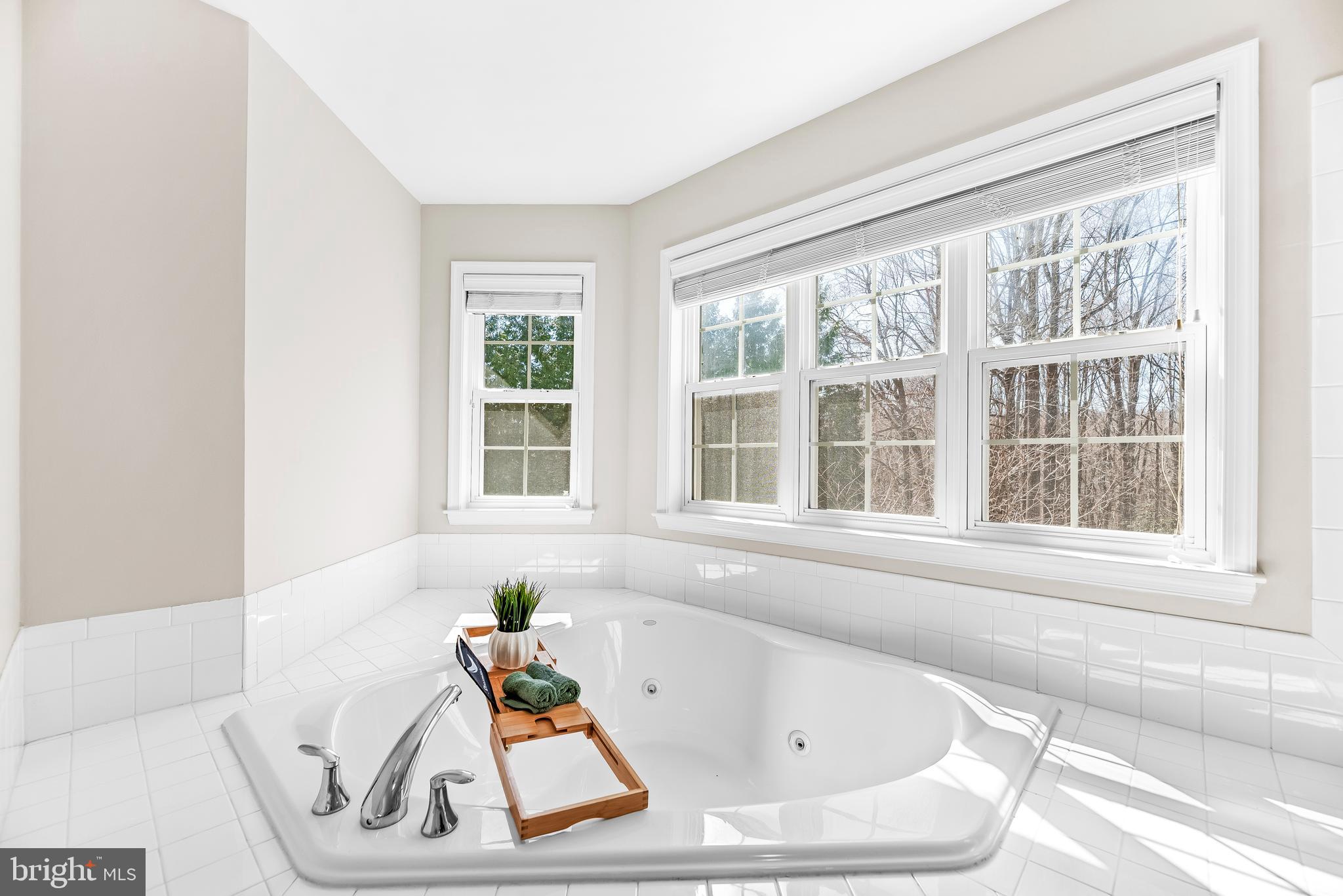 PLUM POINT WOODS - Residential