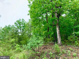 RIDGES AT CEDAR CREEK - Land